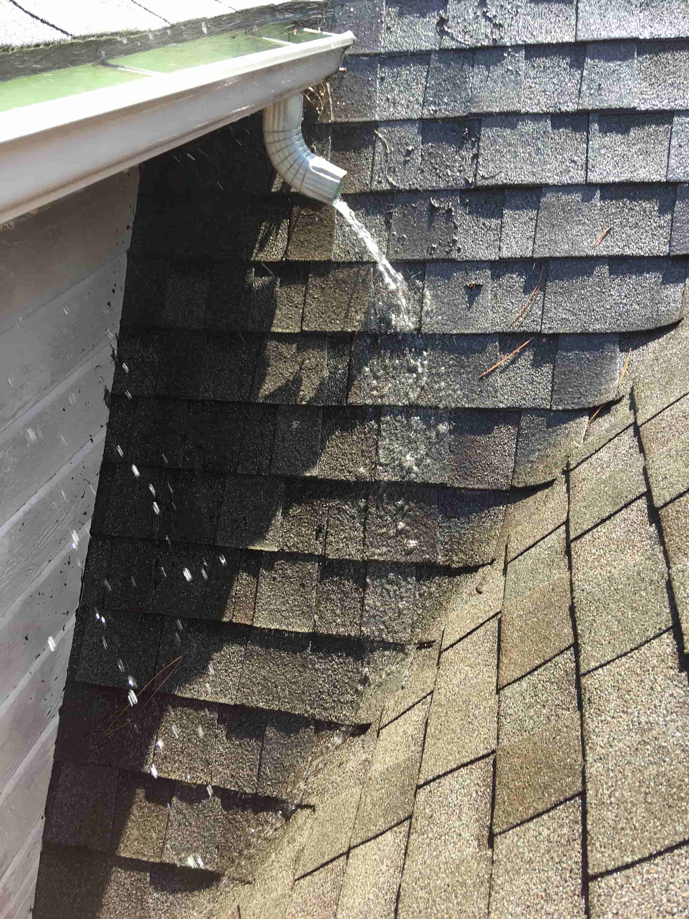 roof gutter flusher and cleaner
