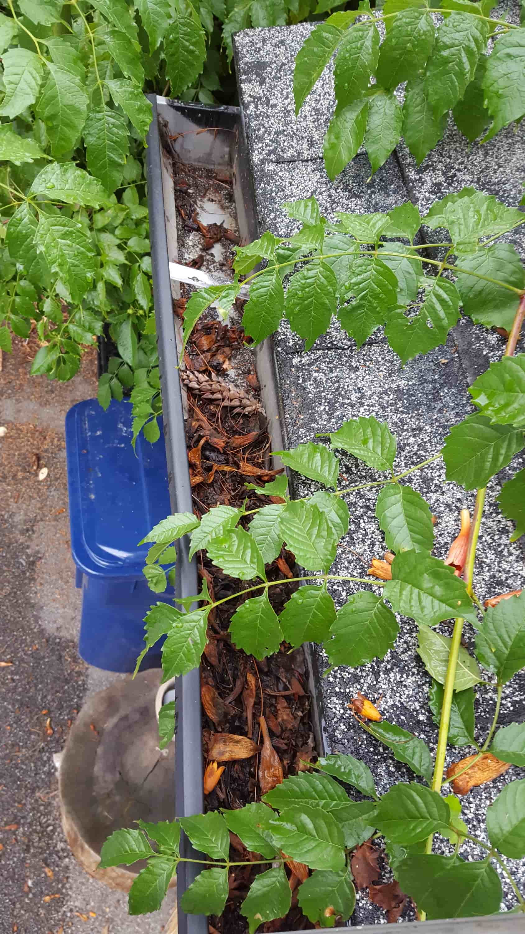 clear clogged downspout