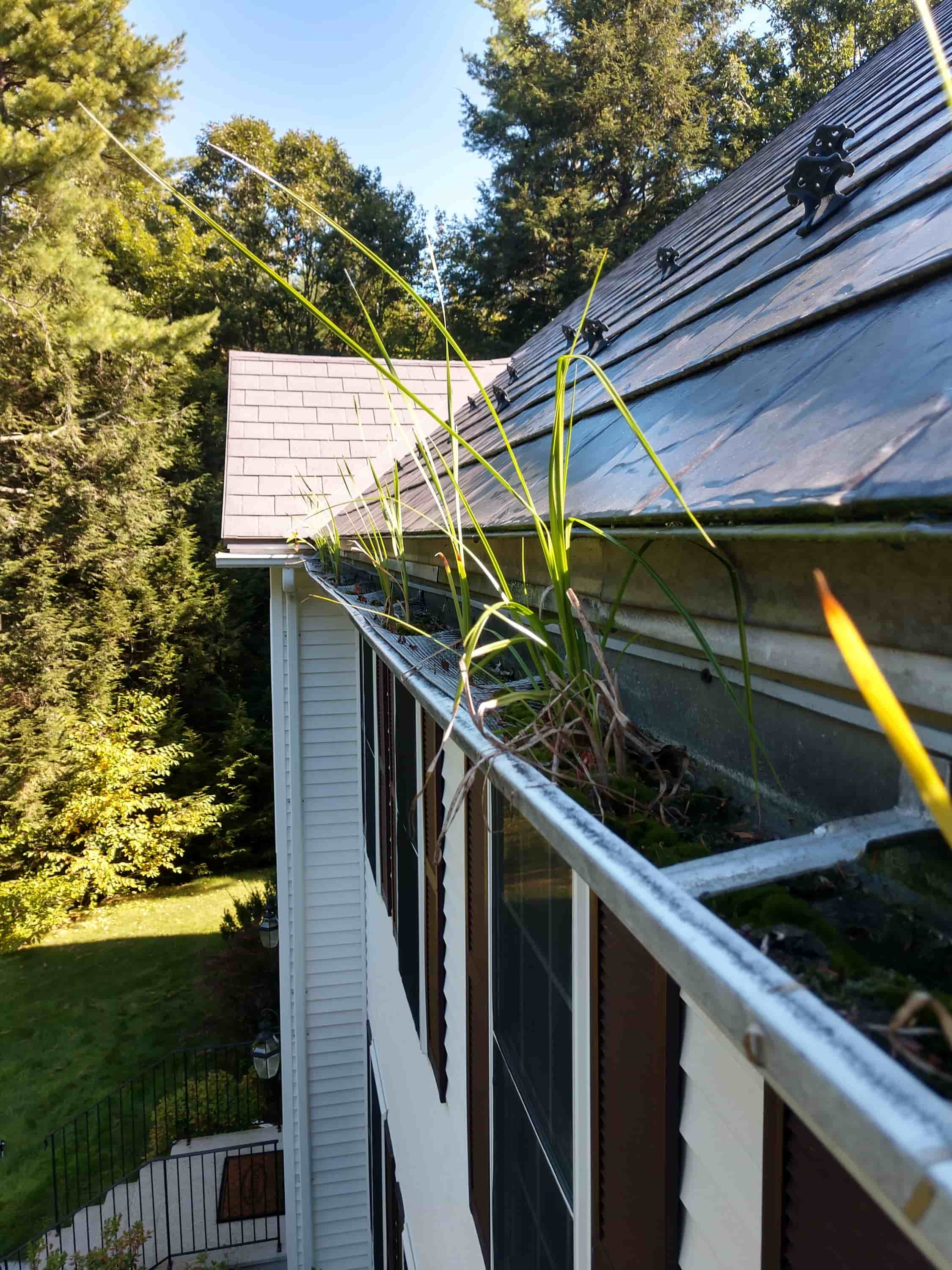 gutter cleaning myrtle beach