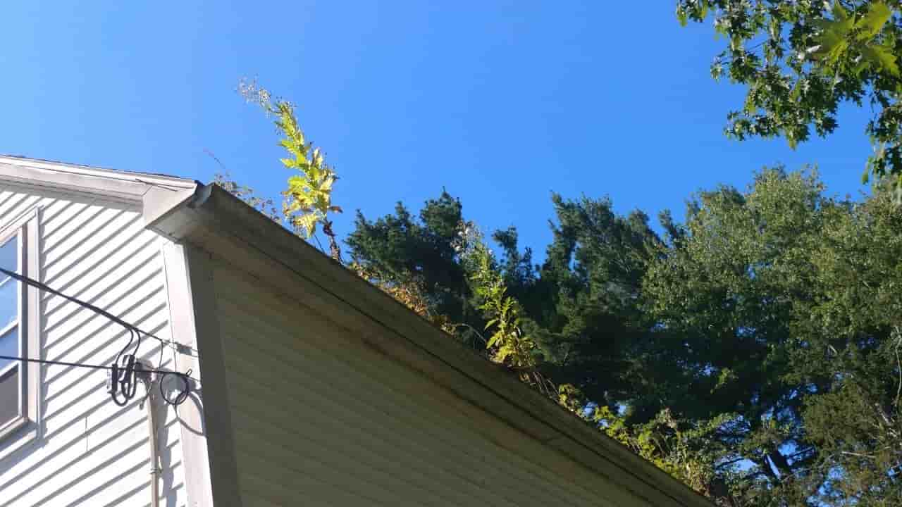 how to clean gutters out