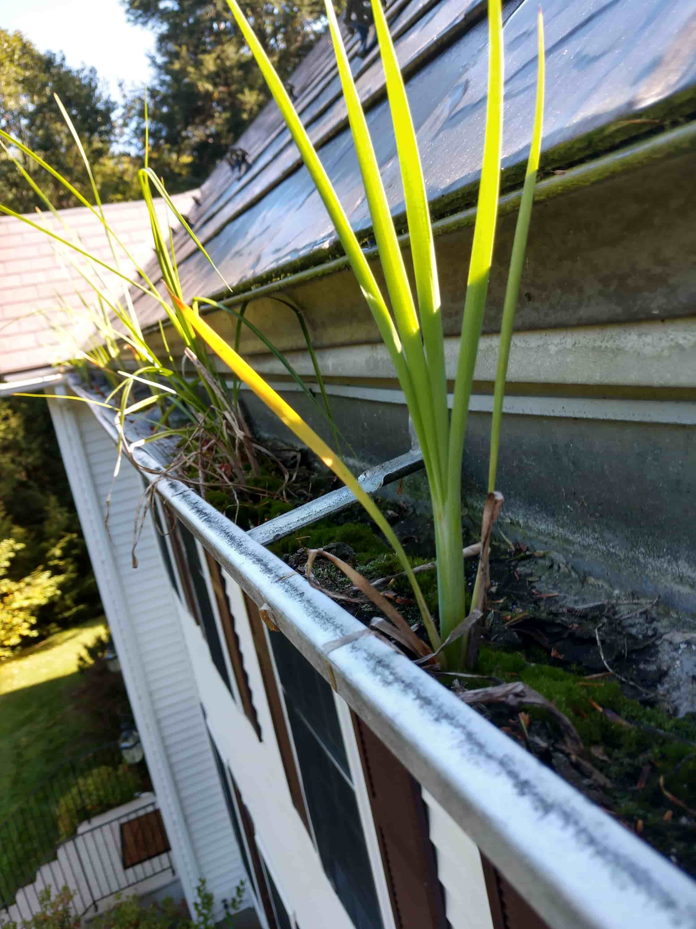 tools to clean gutters on roof