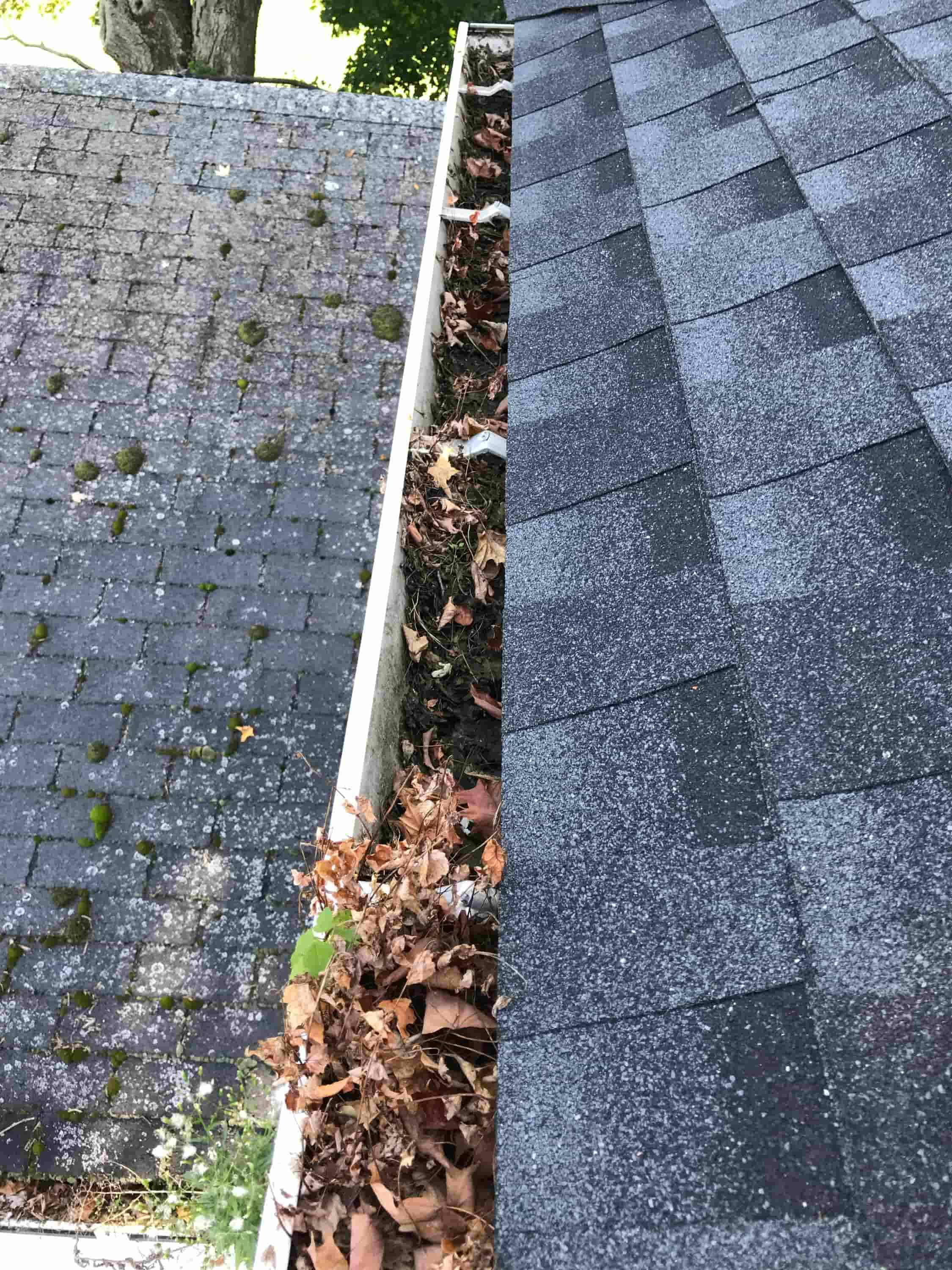 average cost of gutter cleaning