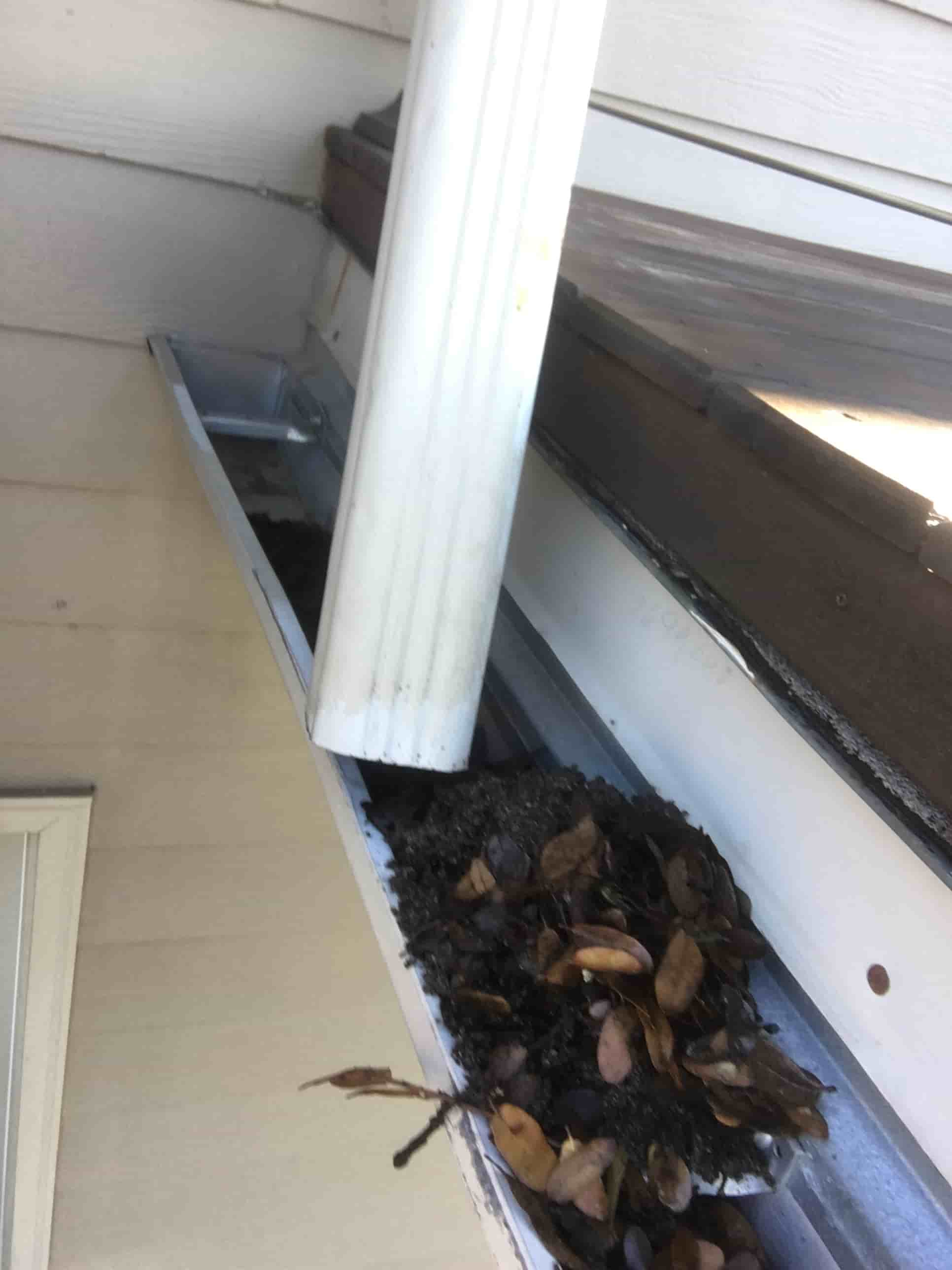 clean gutter with leaf blower