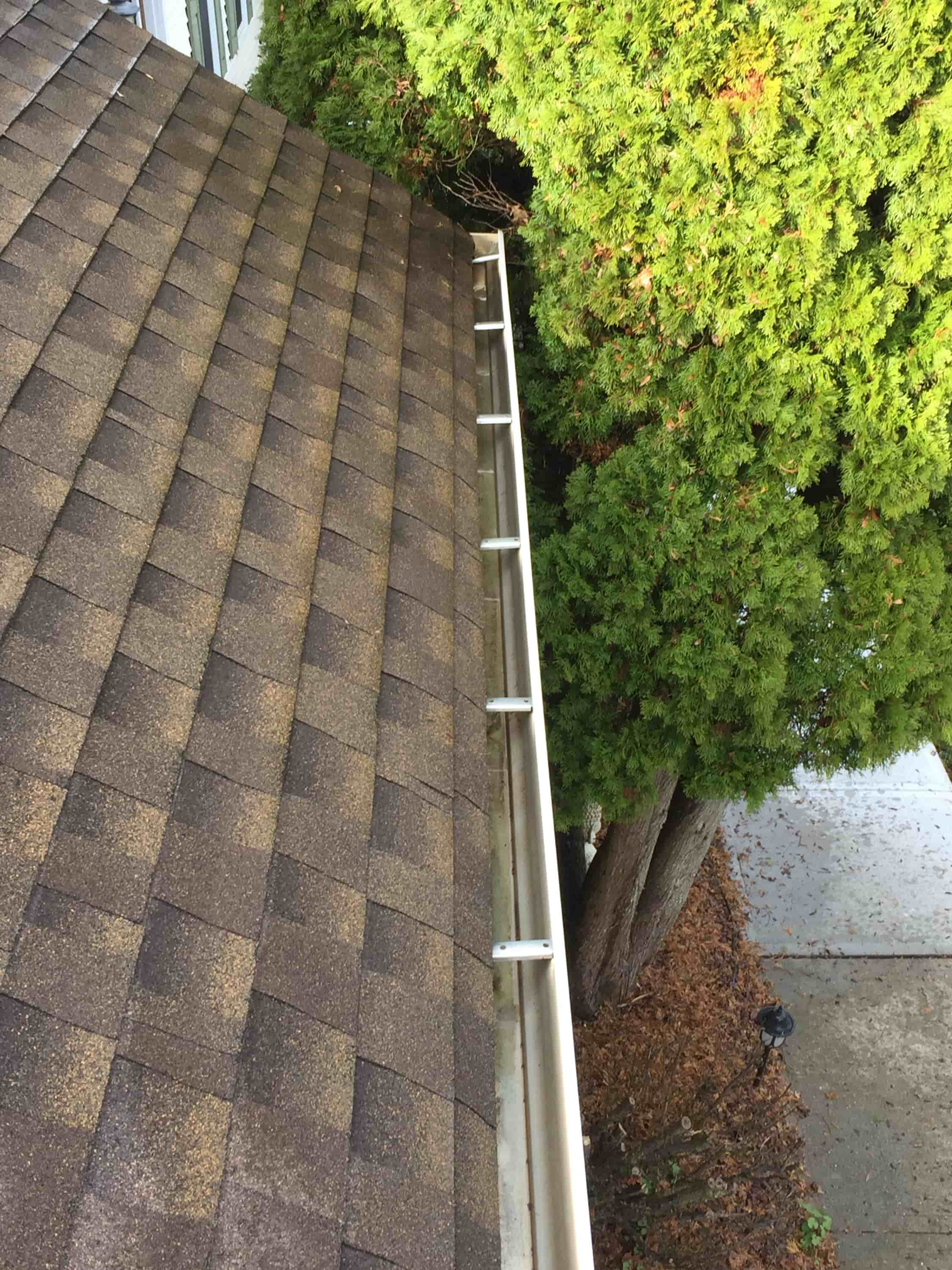 gutter cleaning and guards