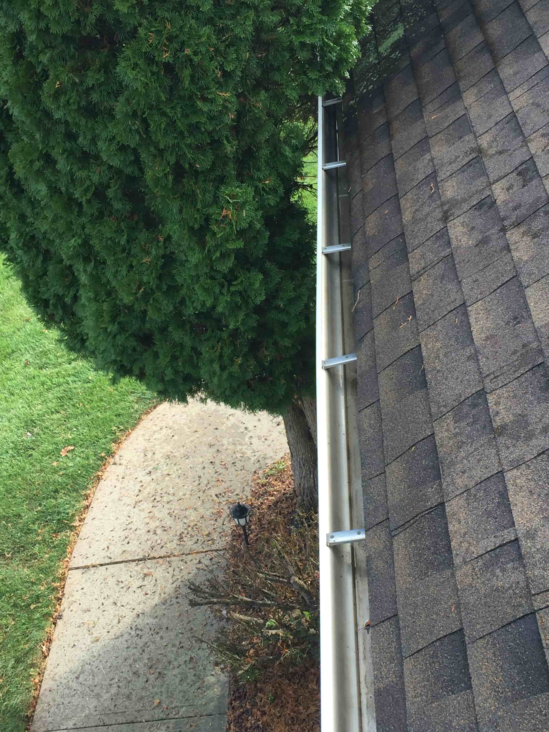 when should you clean your gutters