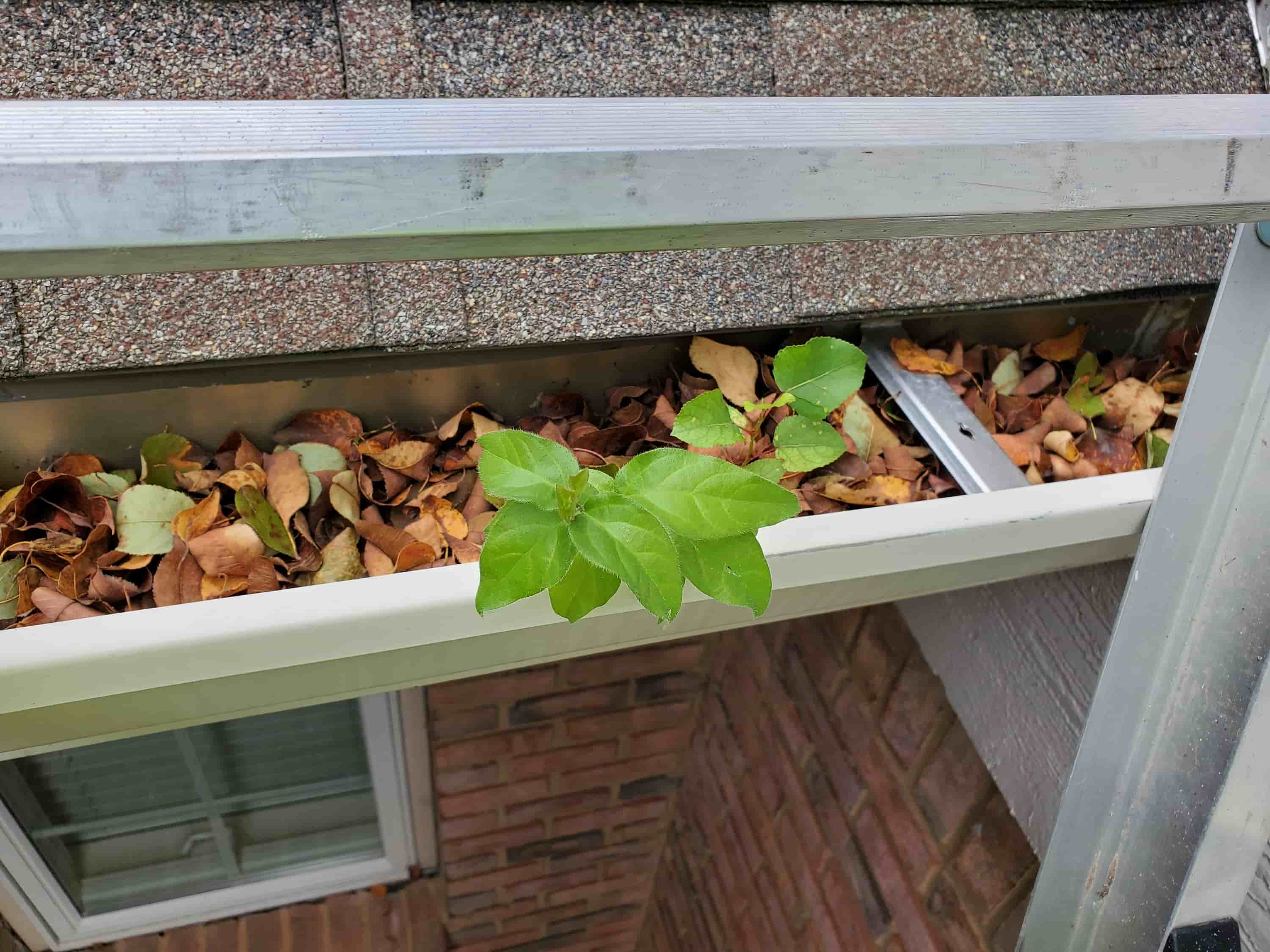 hire gutter cleaner