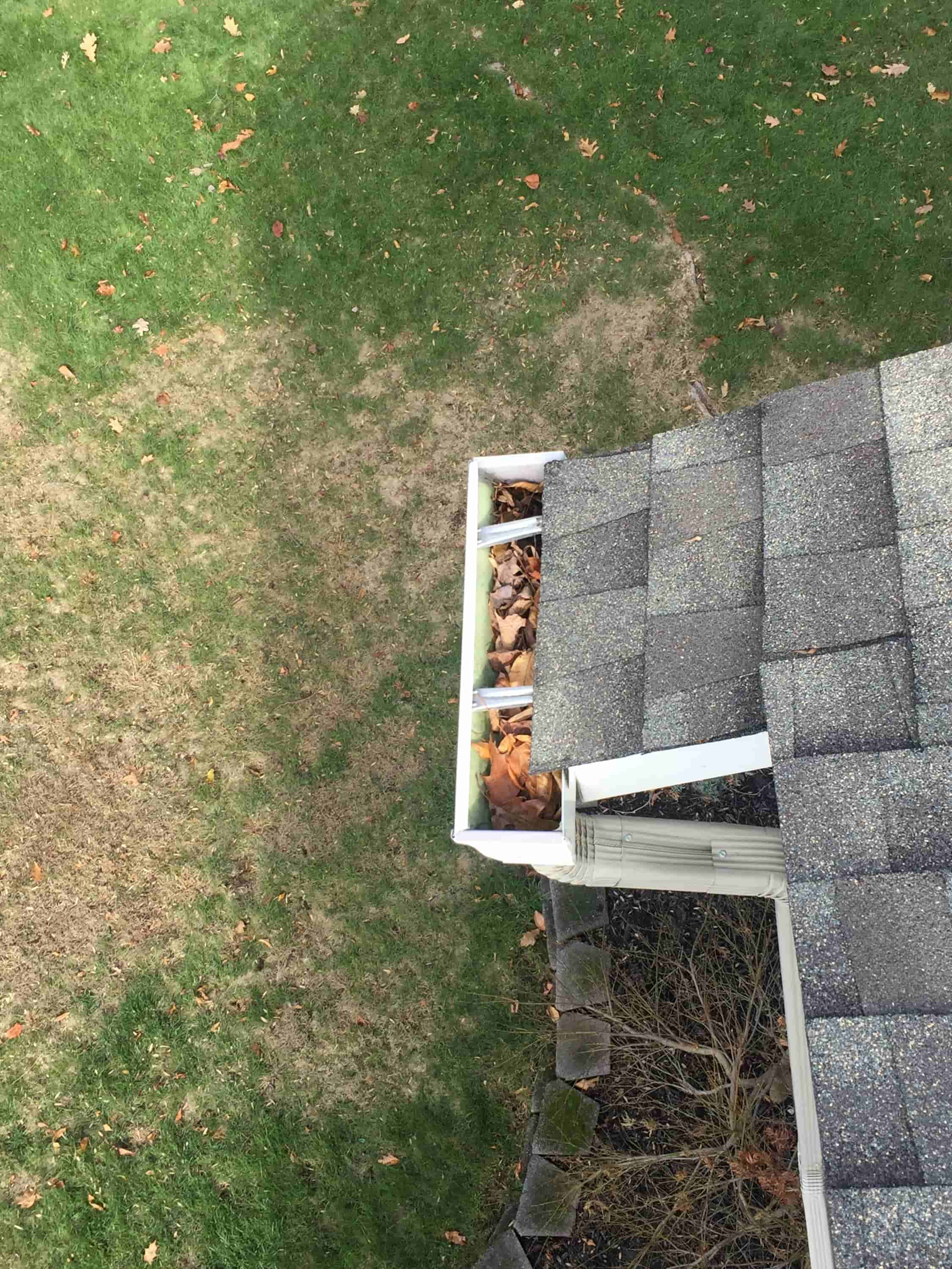 clean leaves off roof