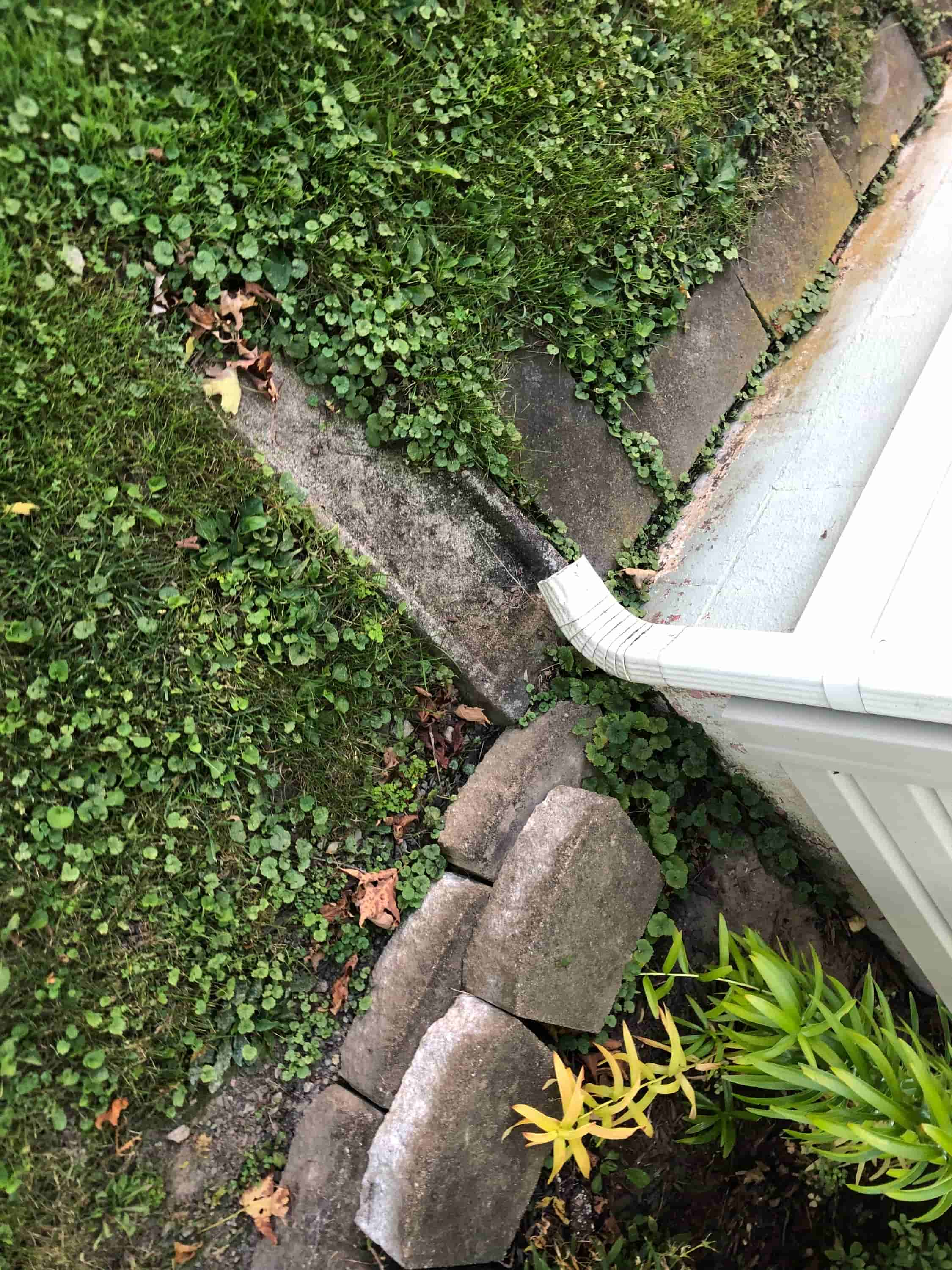 rain gutter cleaning and repair