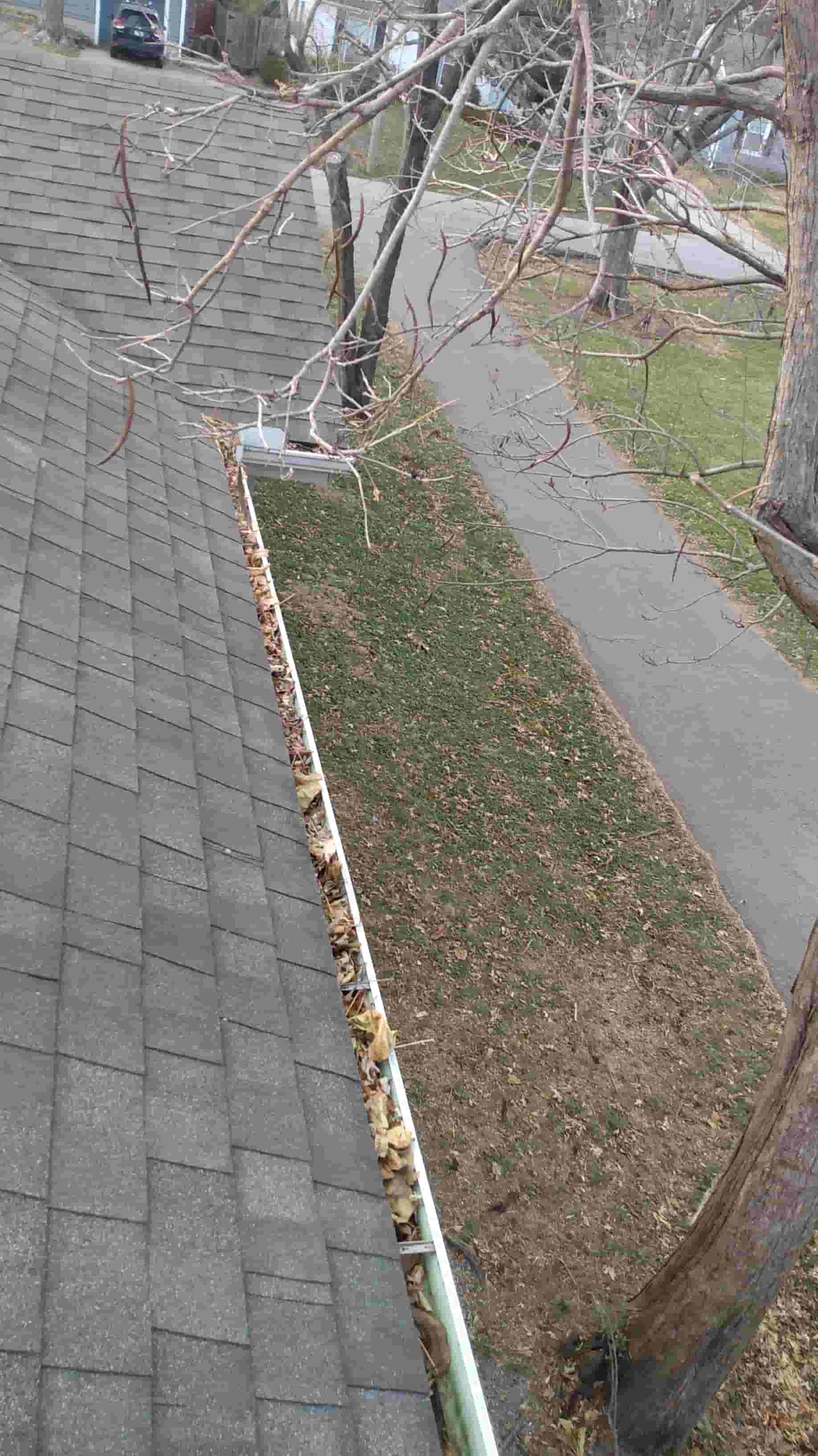 gutter cleaning in my area