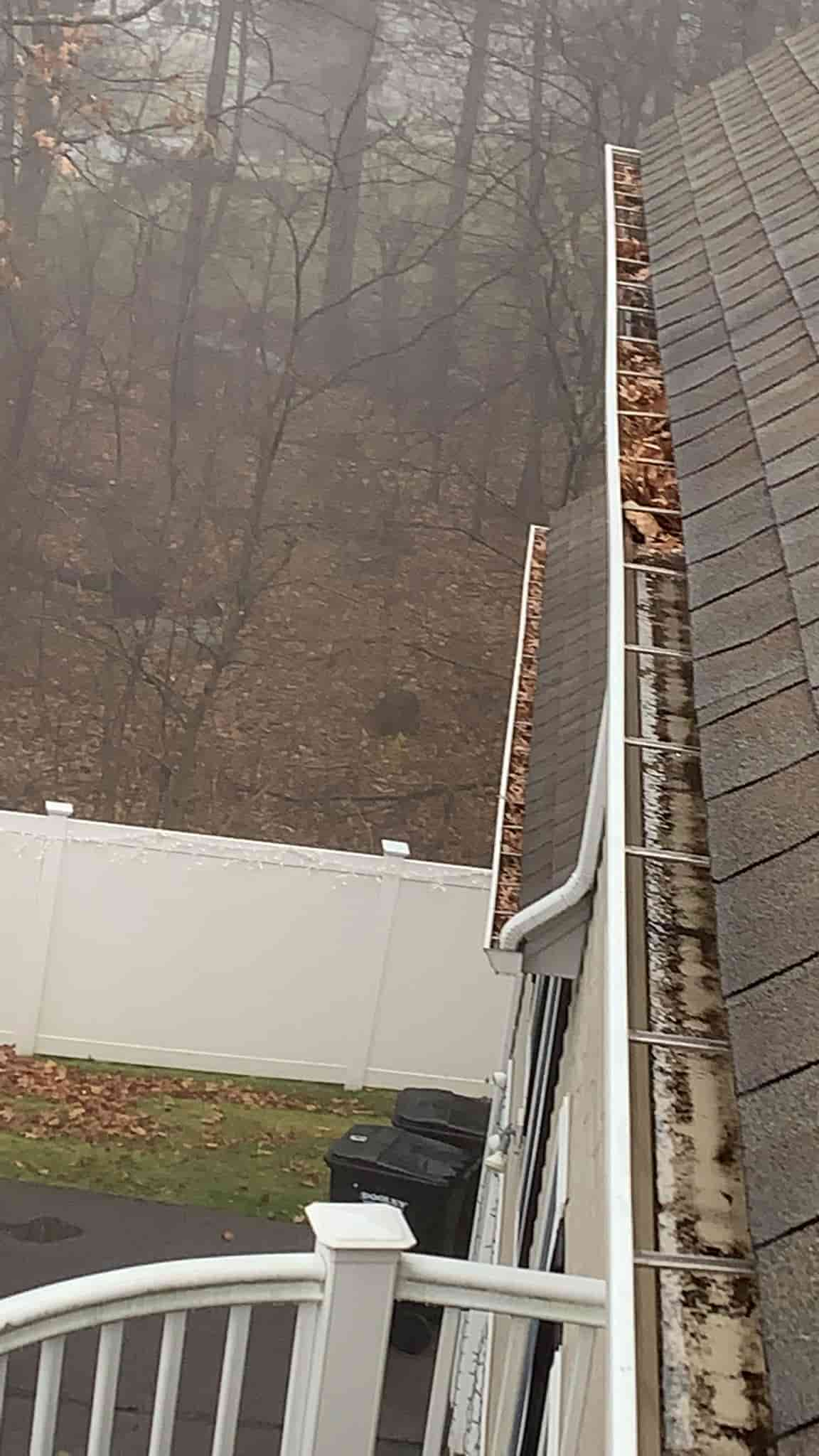 gutter cleaner in my area