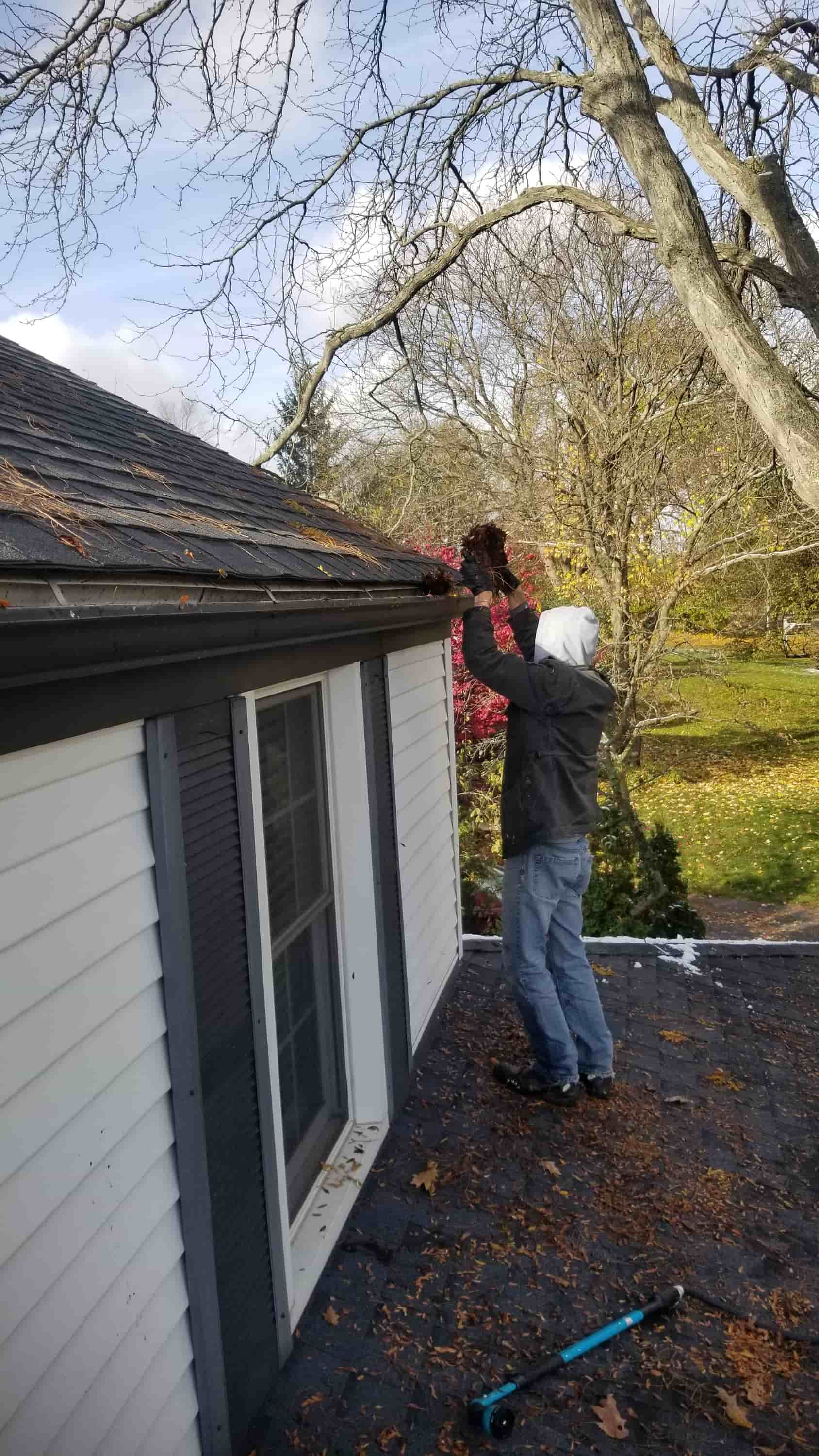 how-to-clean-gutter-guards