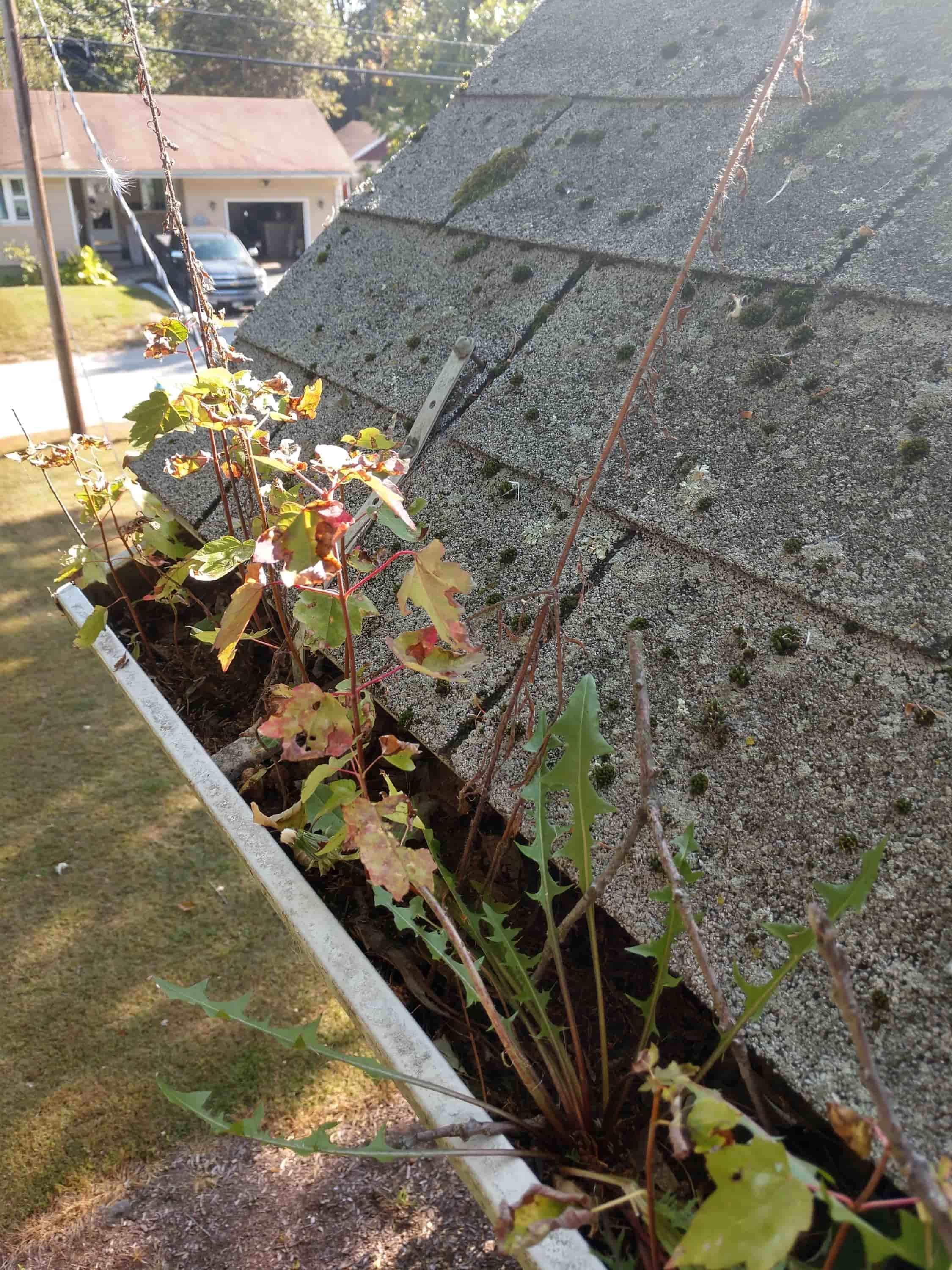 how to remove gutters