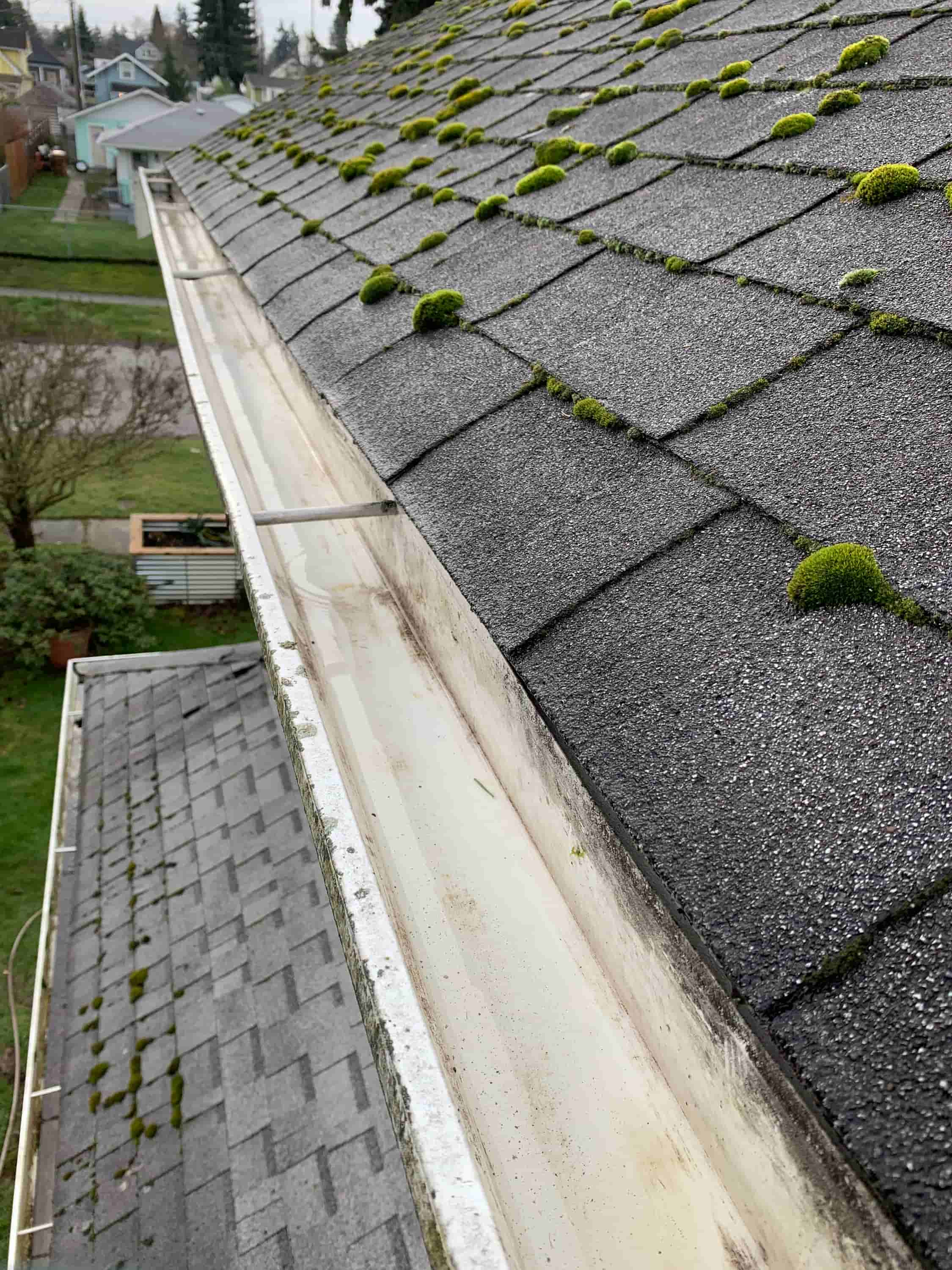 gutter and roof cleaning