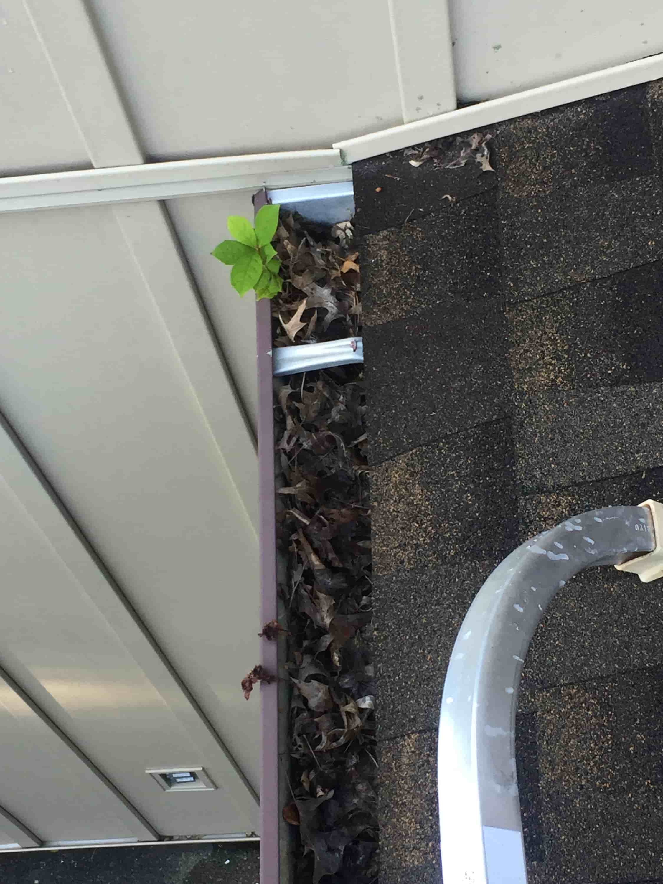 how to clean gutters from ground