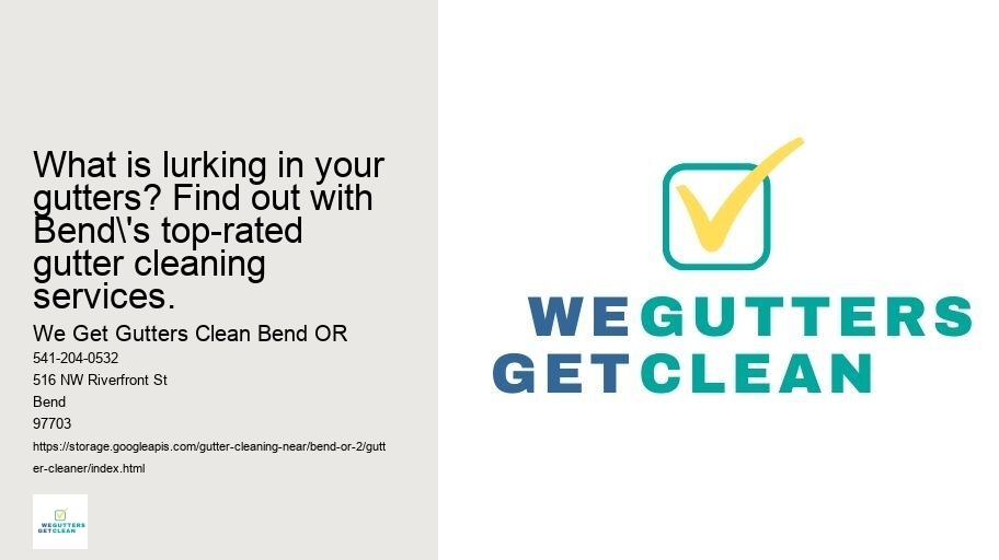 What is lurking in your gutters? Find out with Bend's top-rated gutter cleaning services.