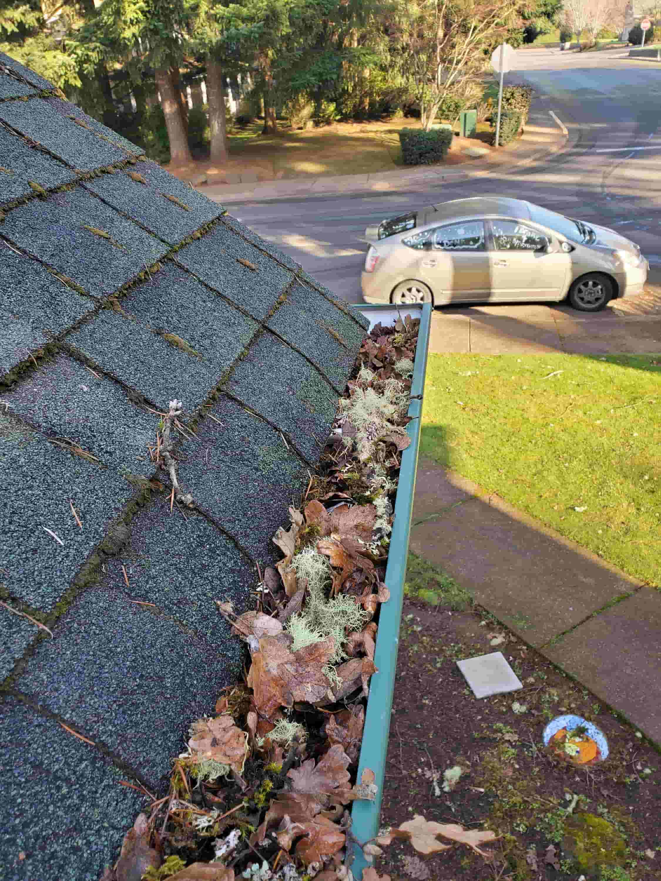 clean your gutters