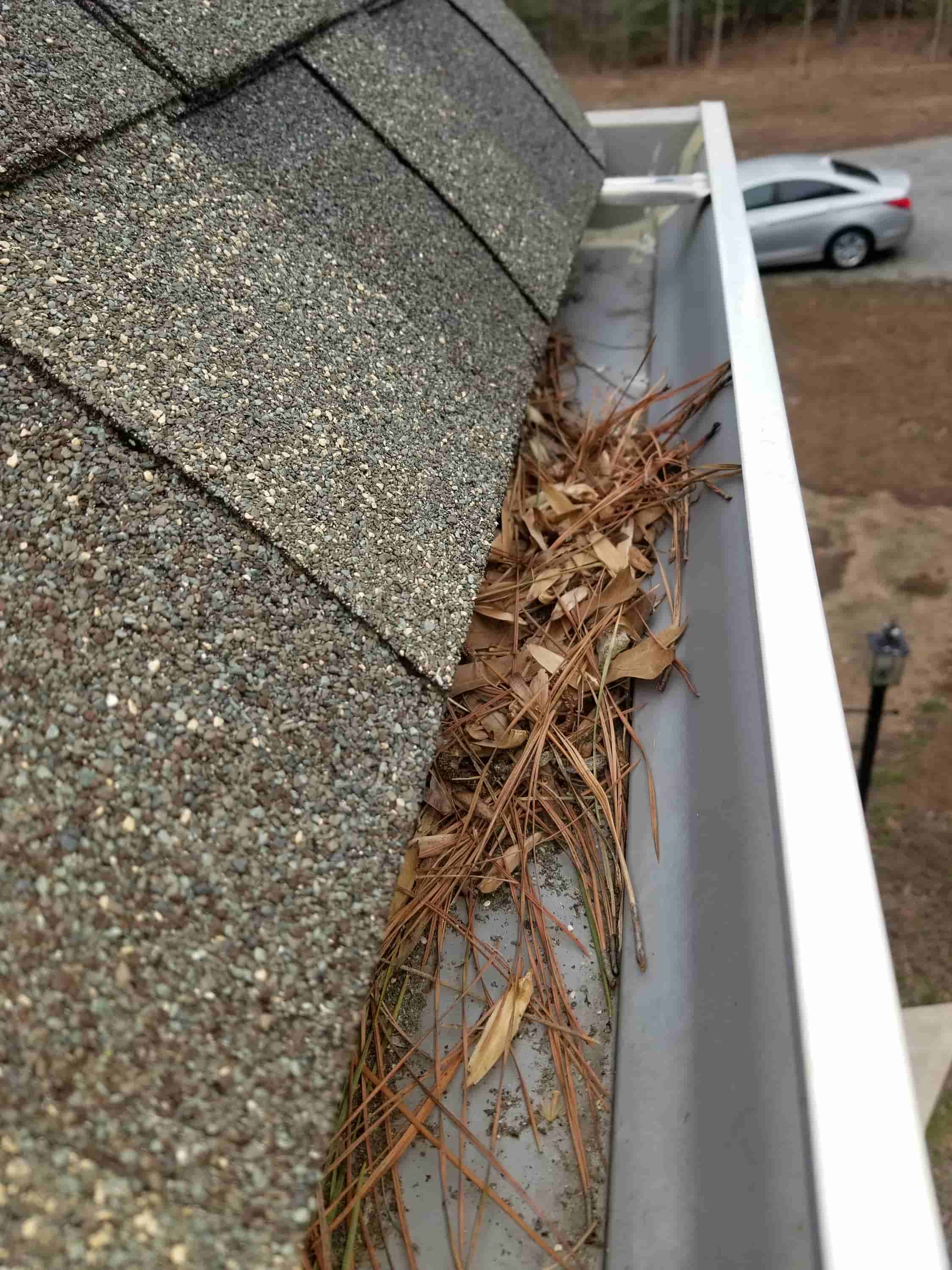roof gutter cleaners