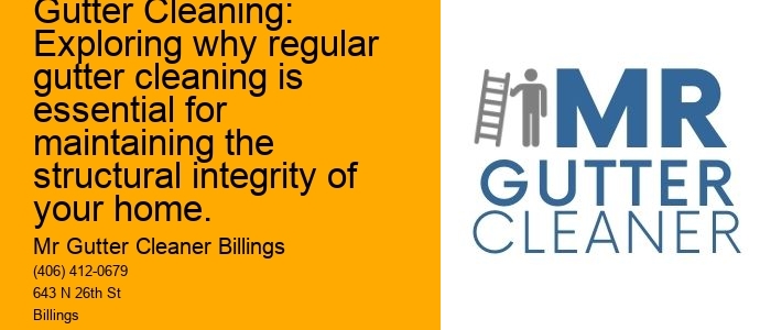 The Importance of Gutter Cleaning: Exploring why regular gutter cleaning is essential for maintaining the structural integrity of your home.