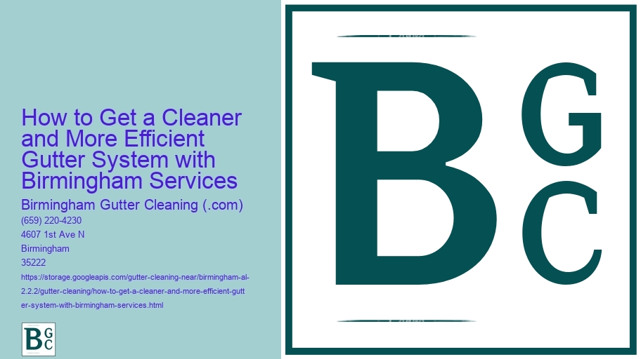 How to Get a Cleaner and More Efficient Gutter System with Birmingham Services 