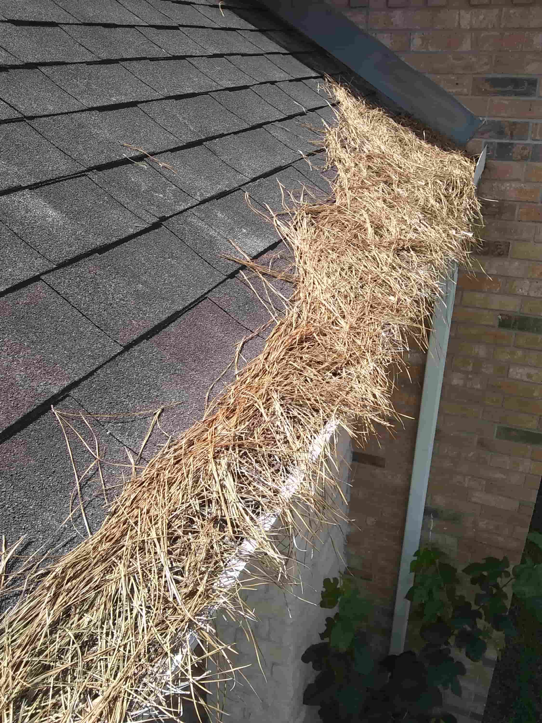 how to clean eaves and gutters