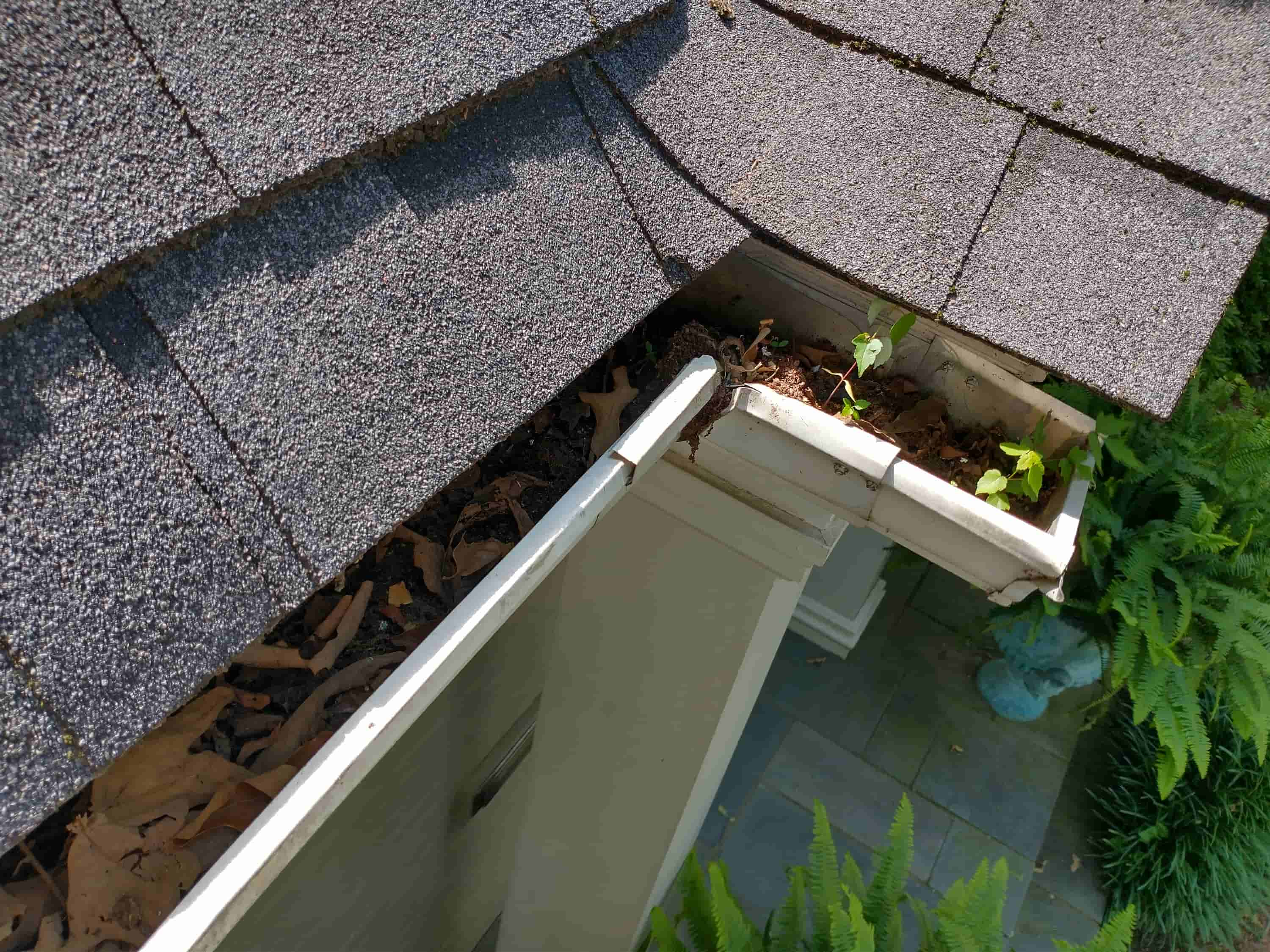 how to clean your gutters