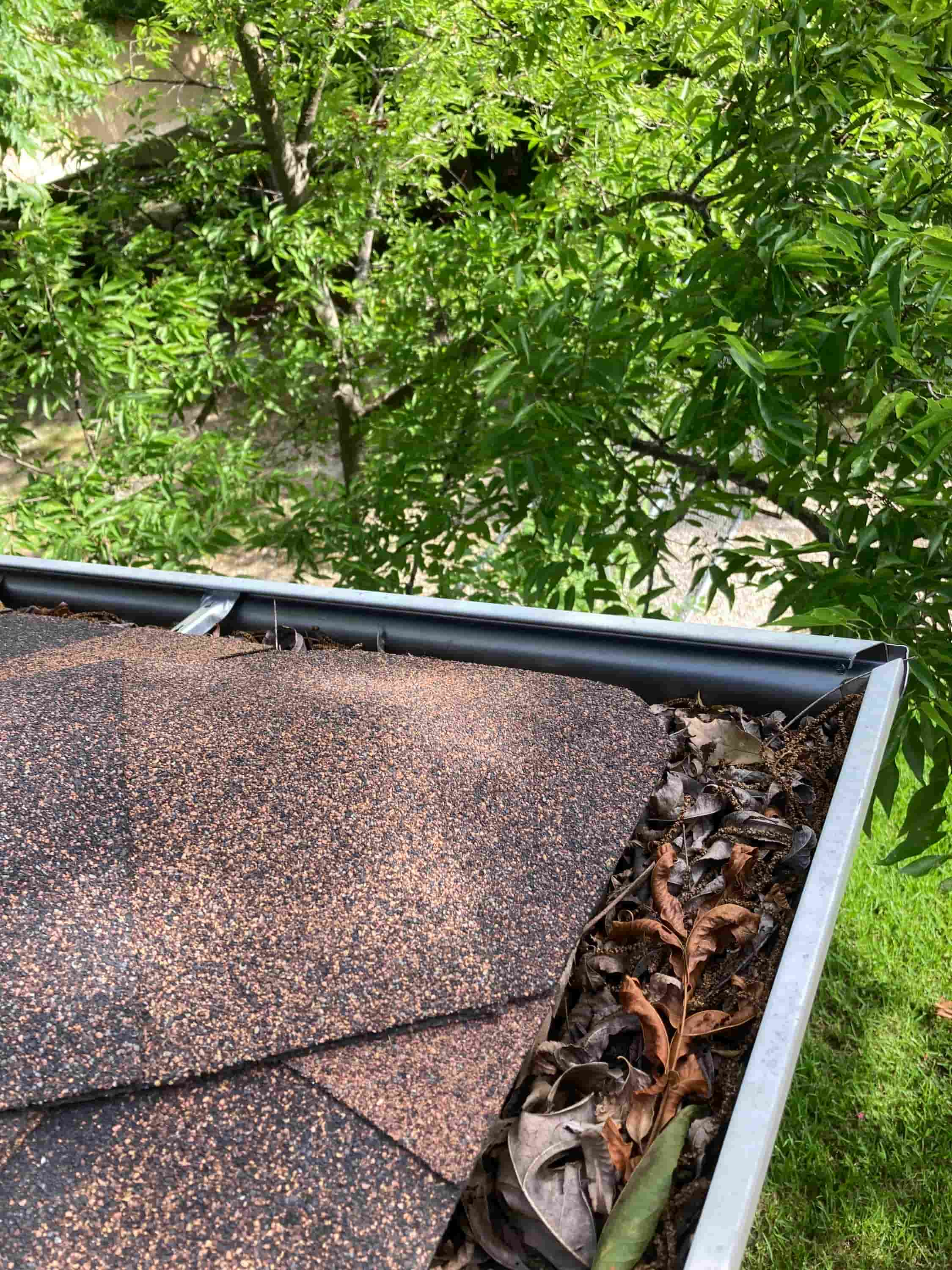 gutter and eave repair