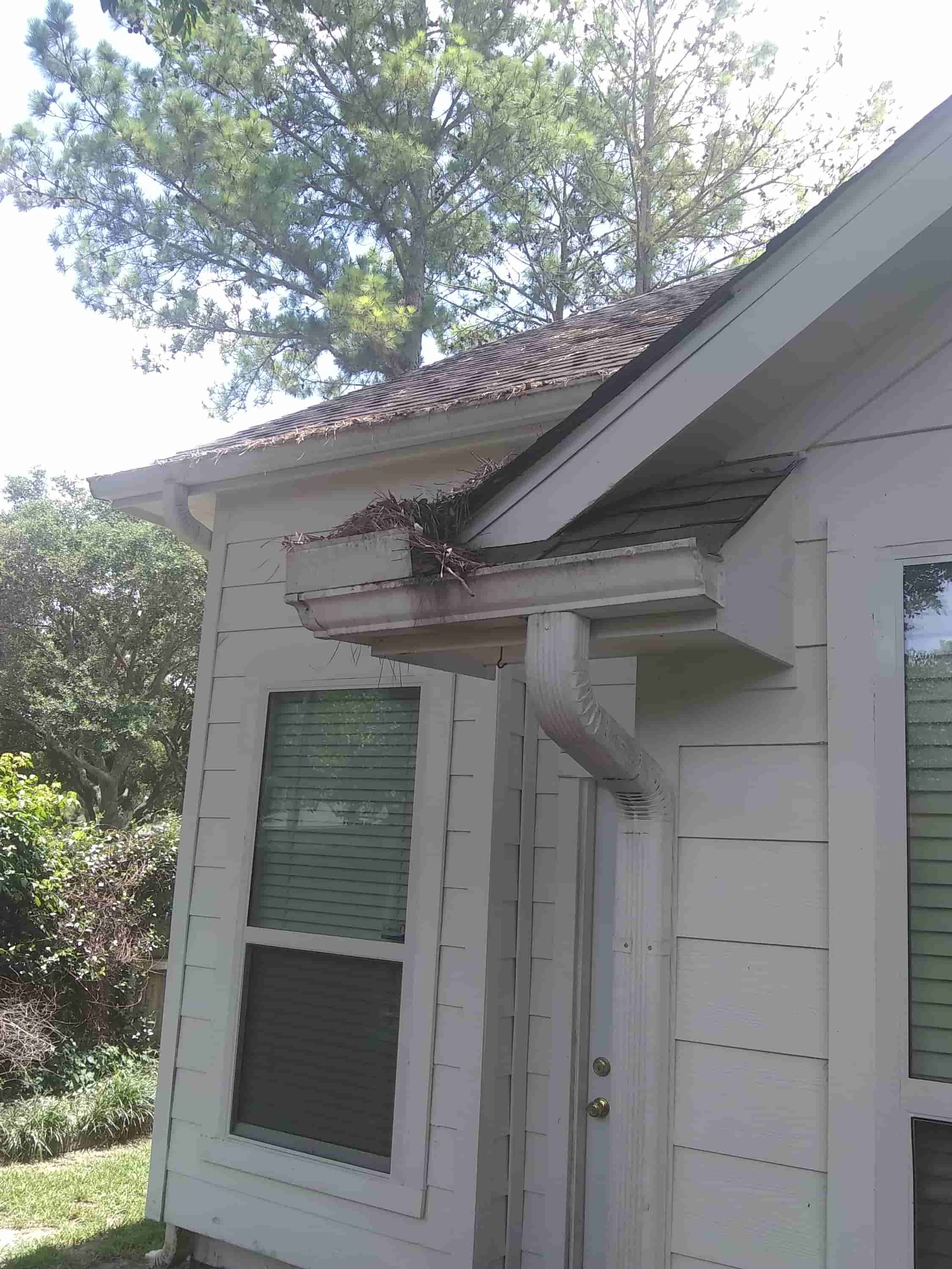 gutter clean system