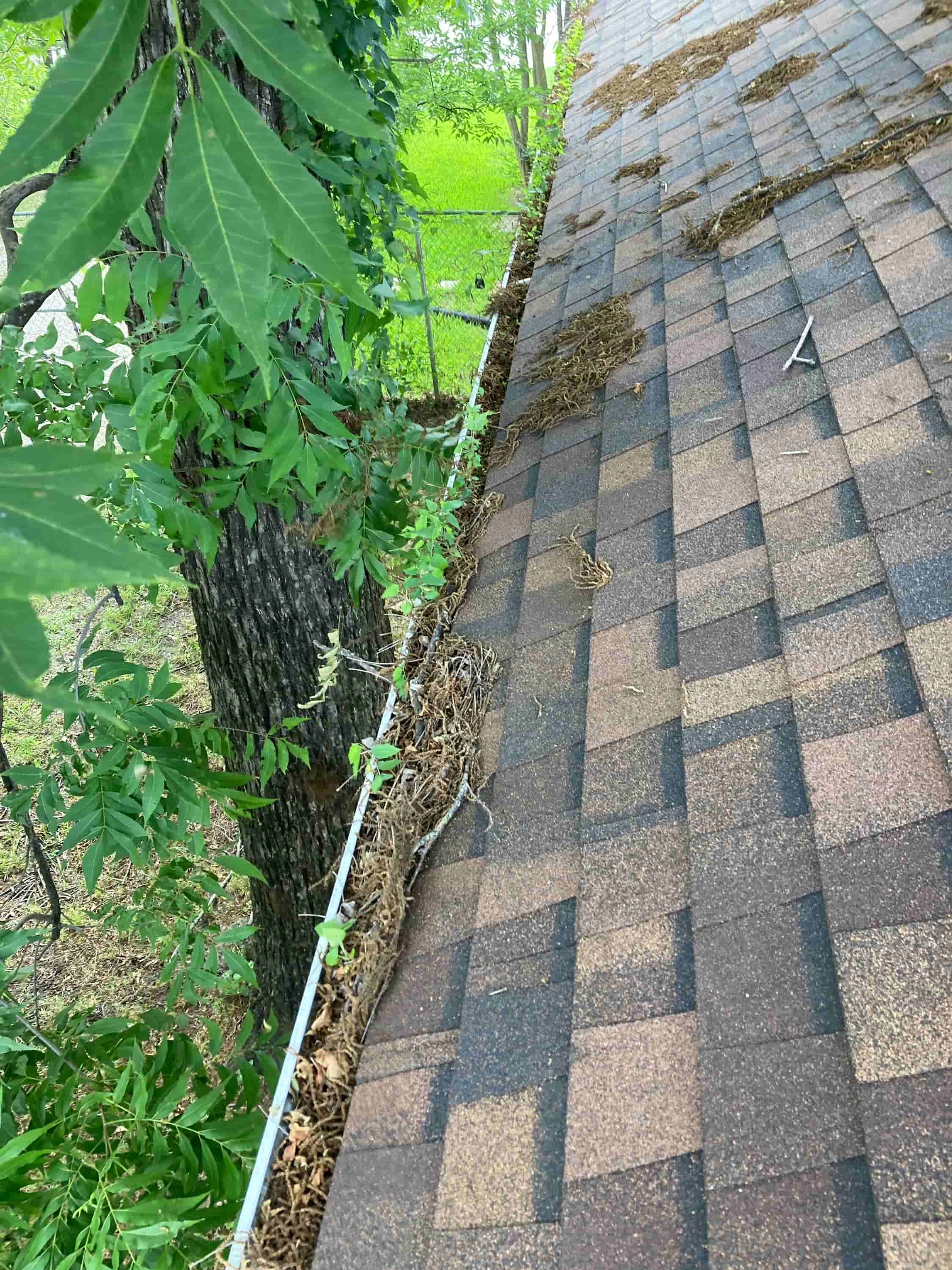 how to start a gutter cleaning business