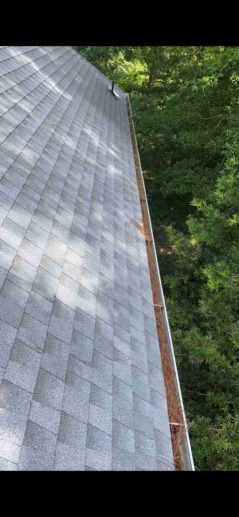 gutter removal