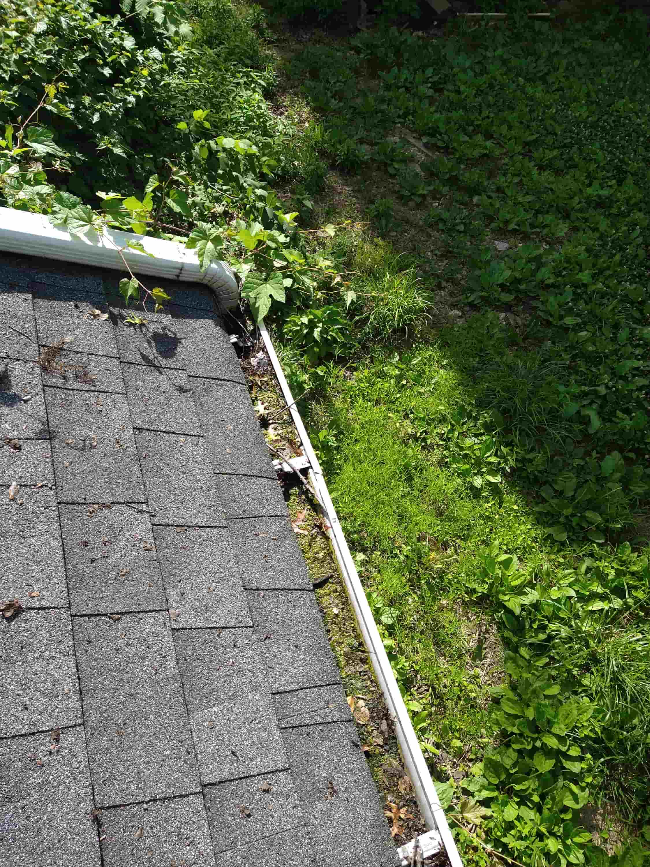 roof and gutter cleaning near me