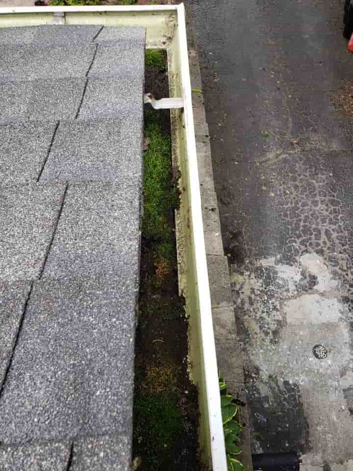 gutter downspout clean out