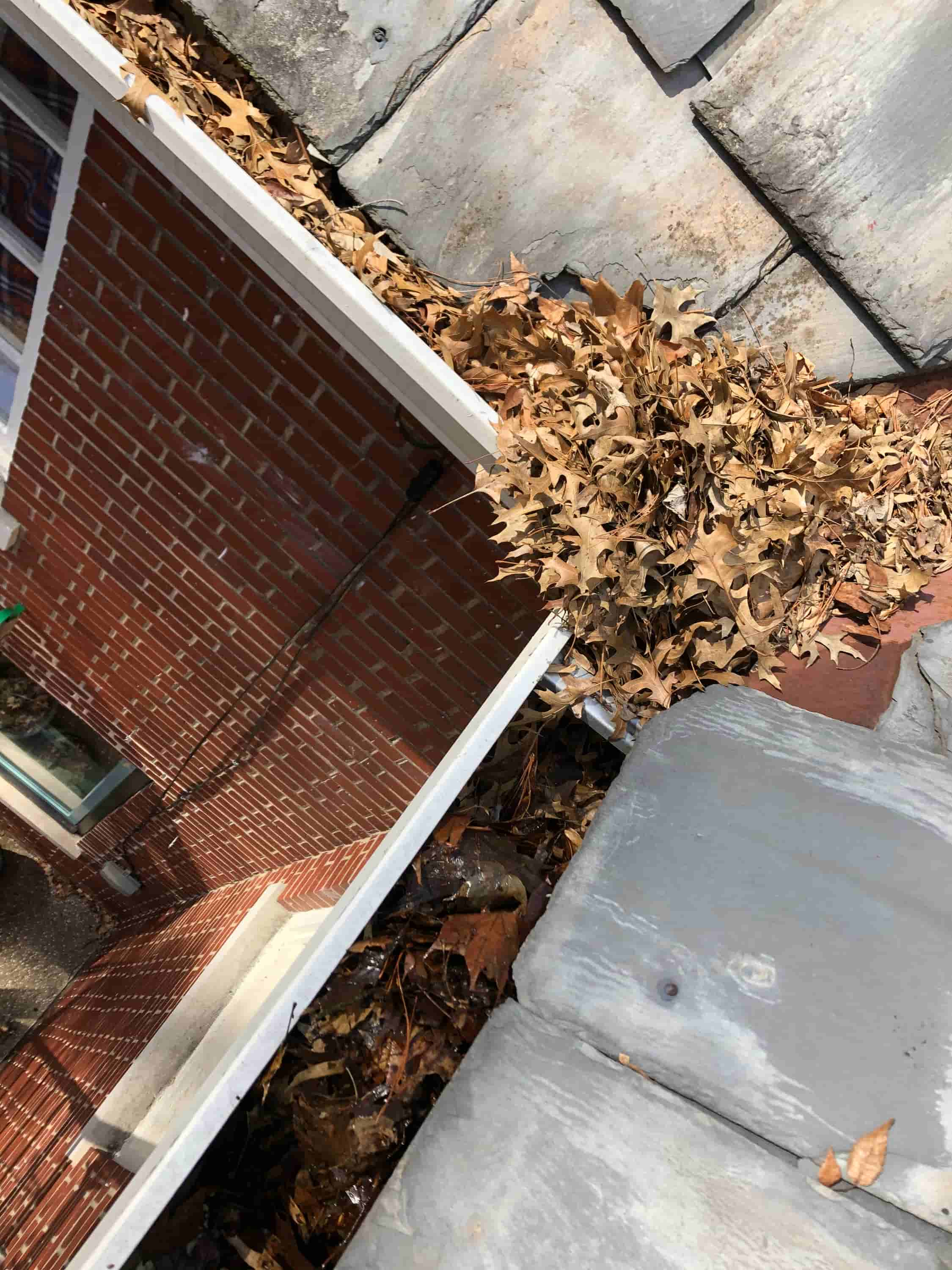 why clean gutter