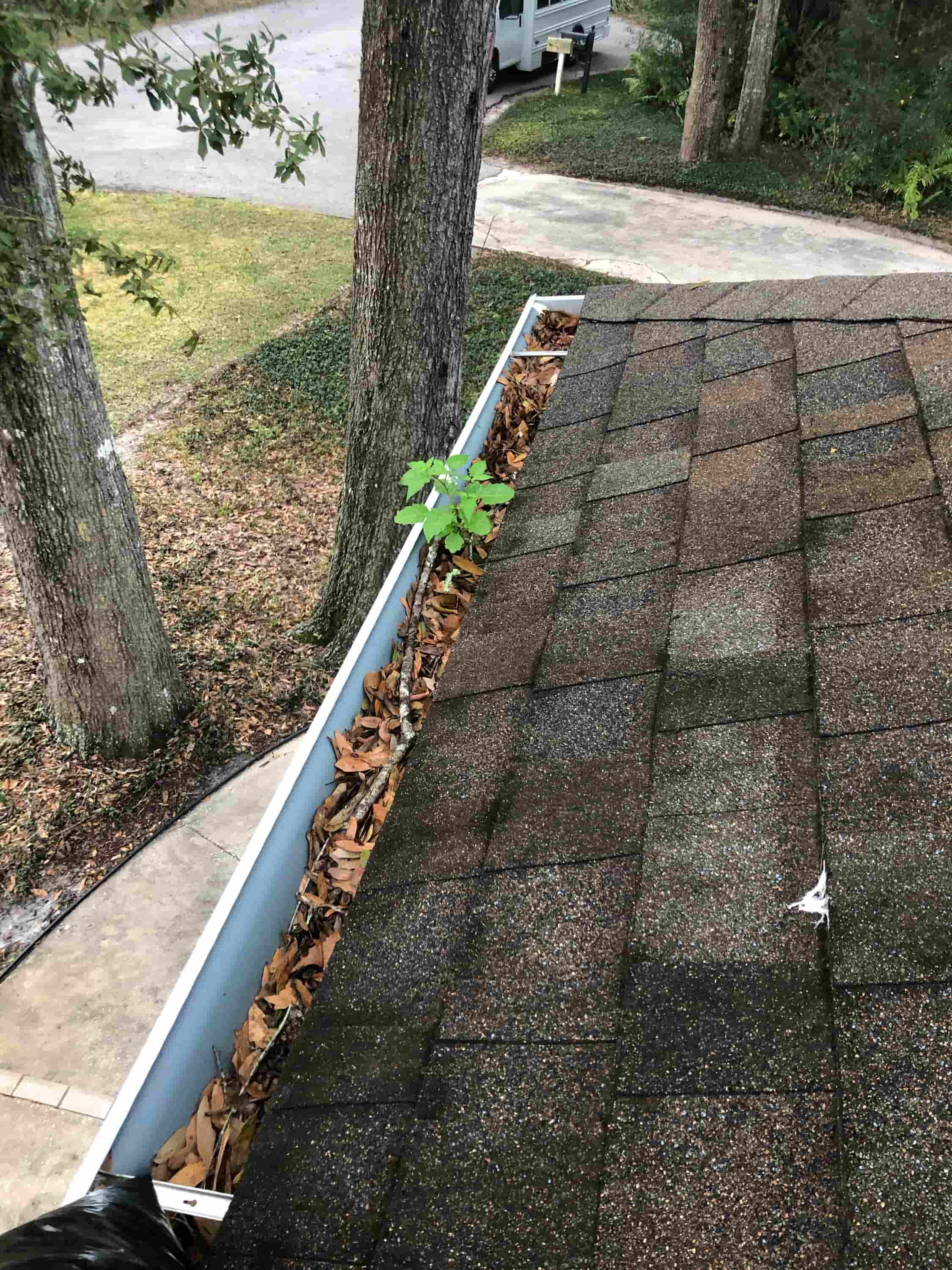 plumber's snake for gutters