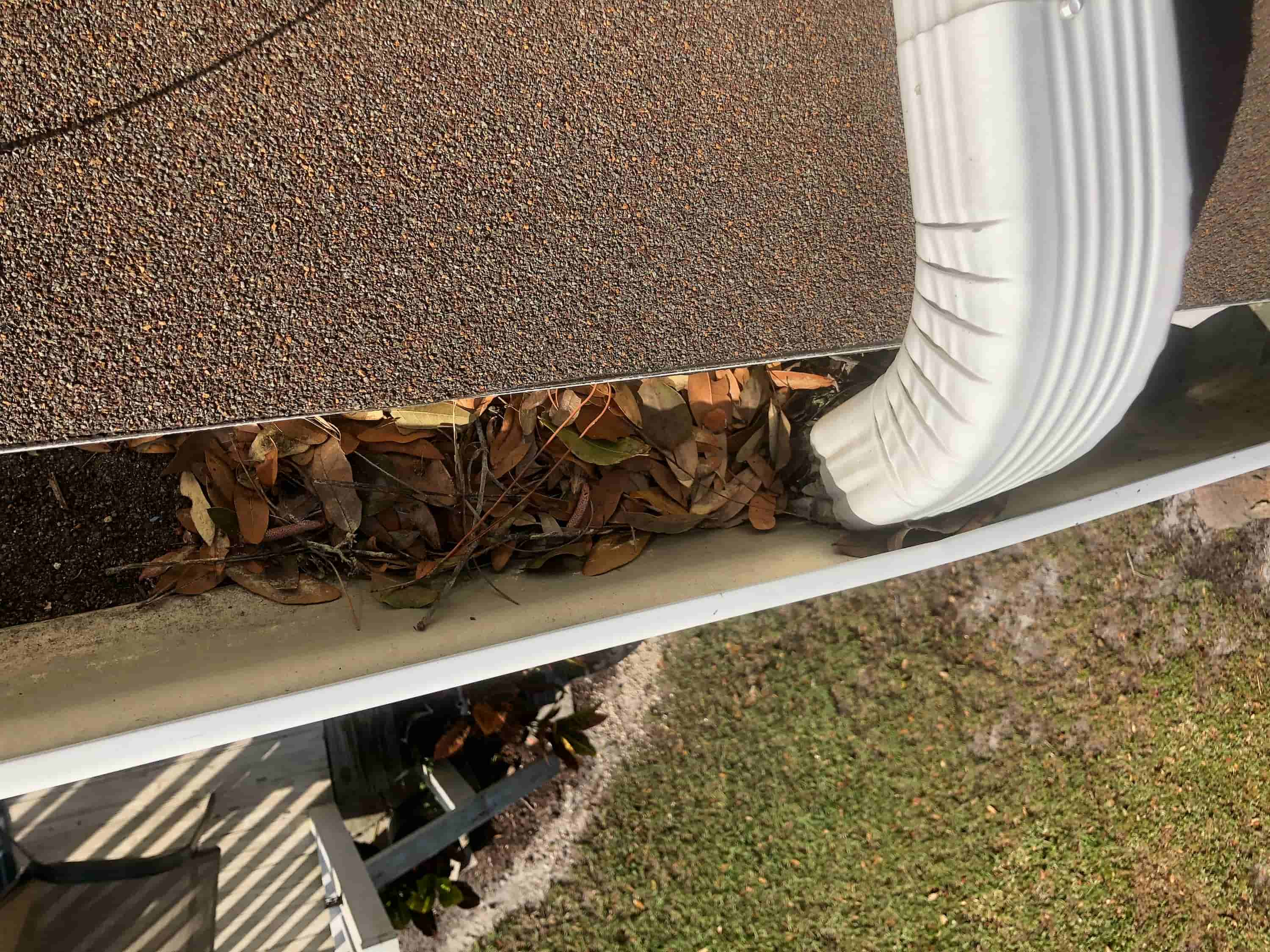 clean out gutter drain pipe