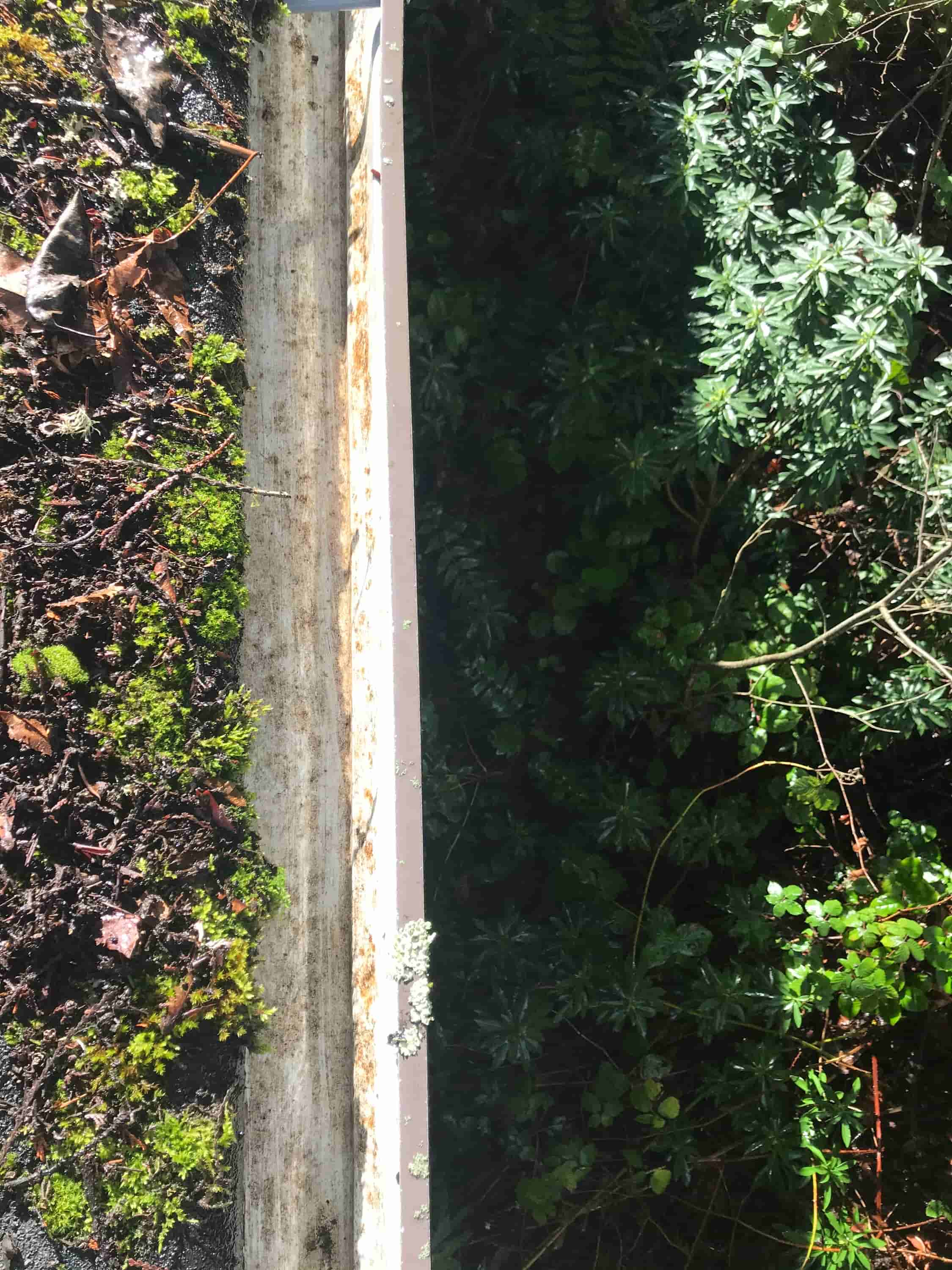 cleaning gutters above conservatory