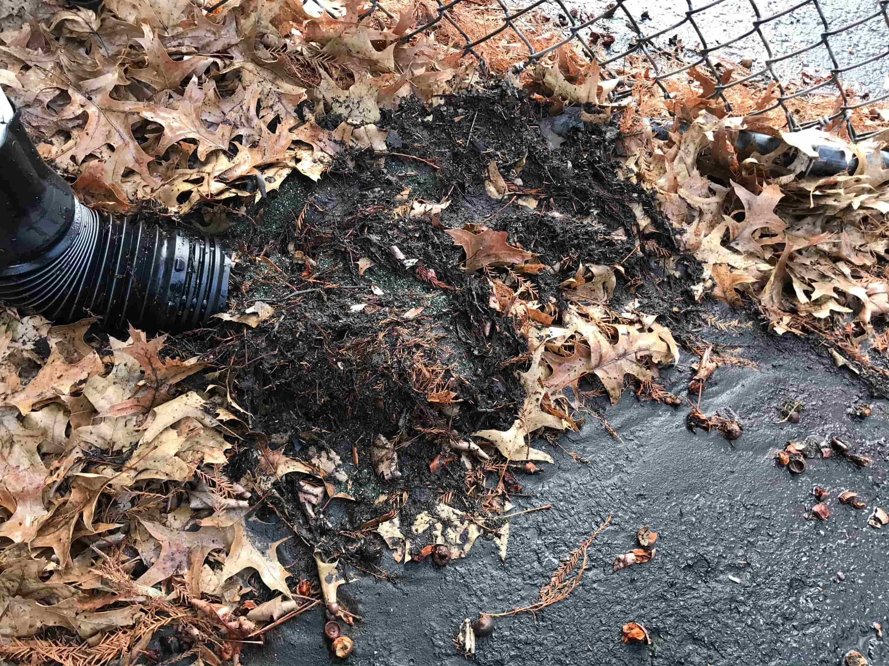 clean out gutters from the ground