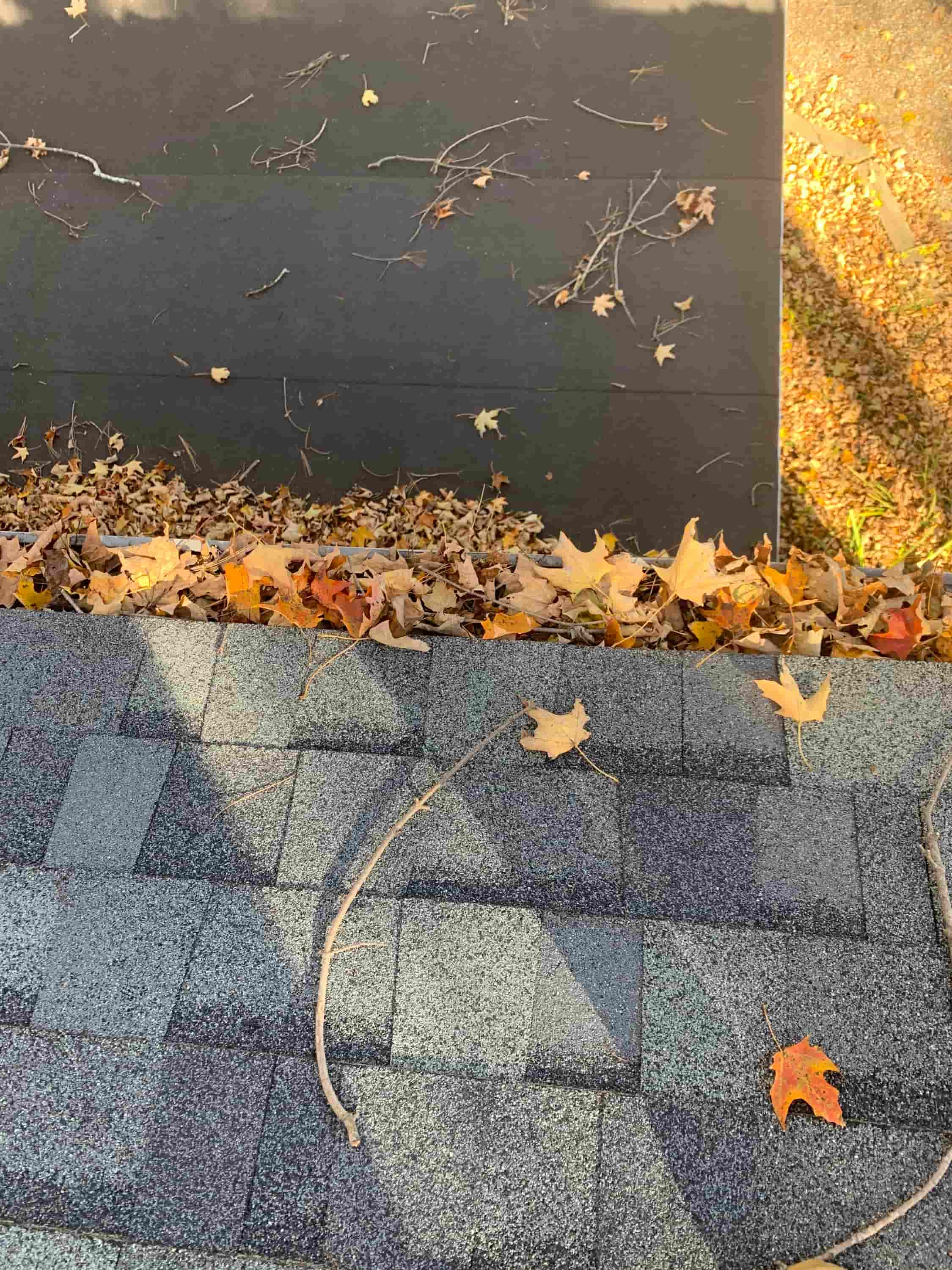 gutter cleaning tongs lowes