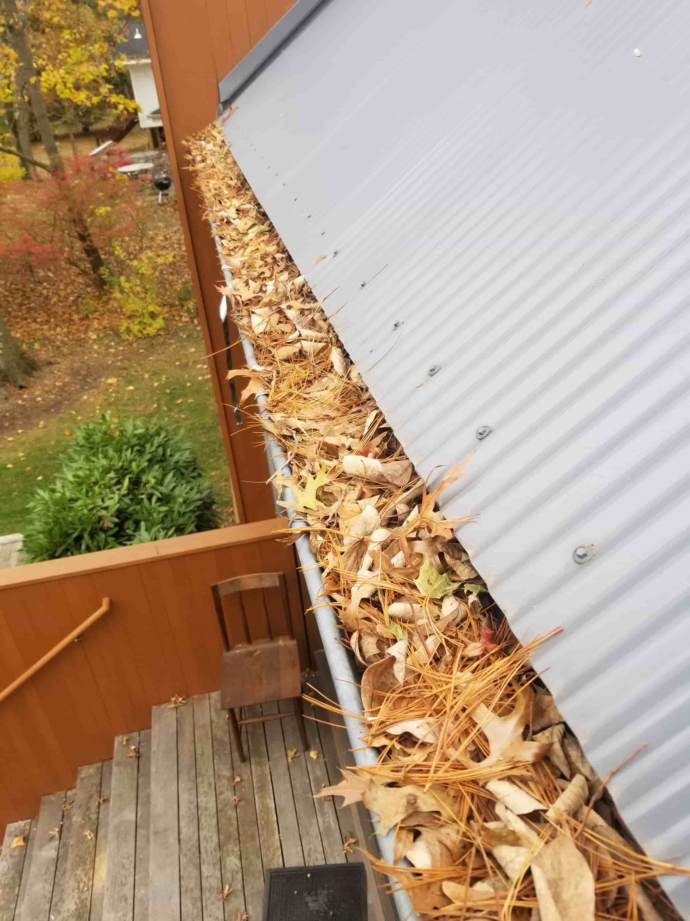 cleaning leaves from gutters