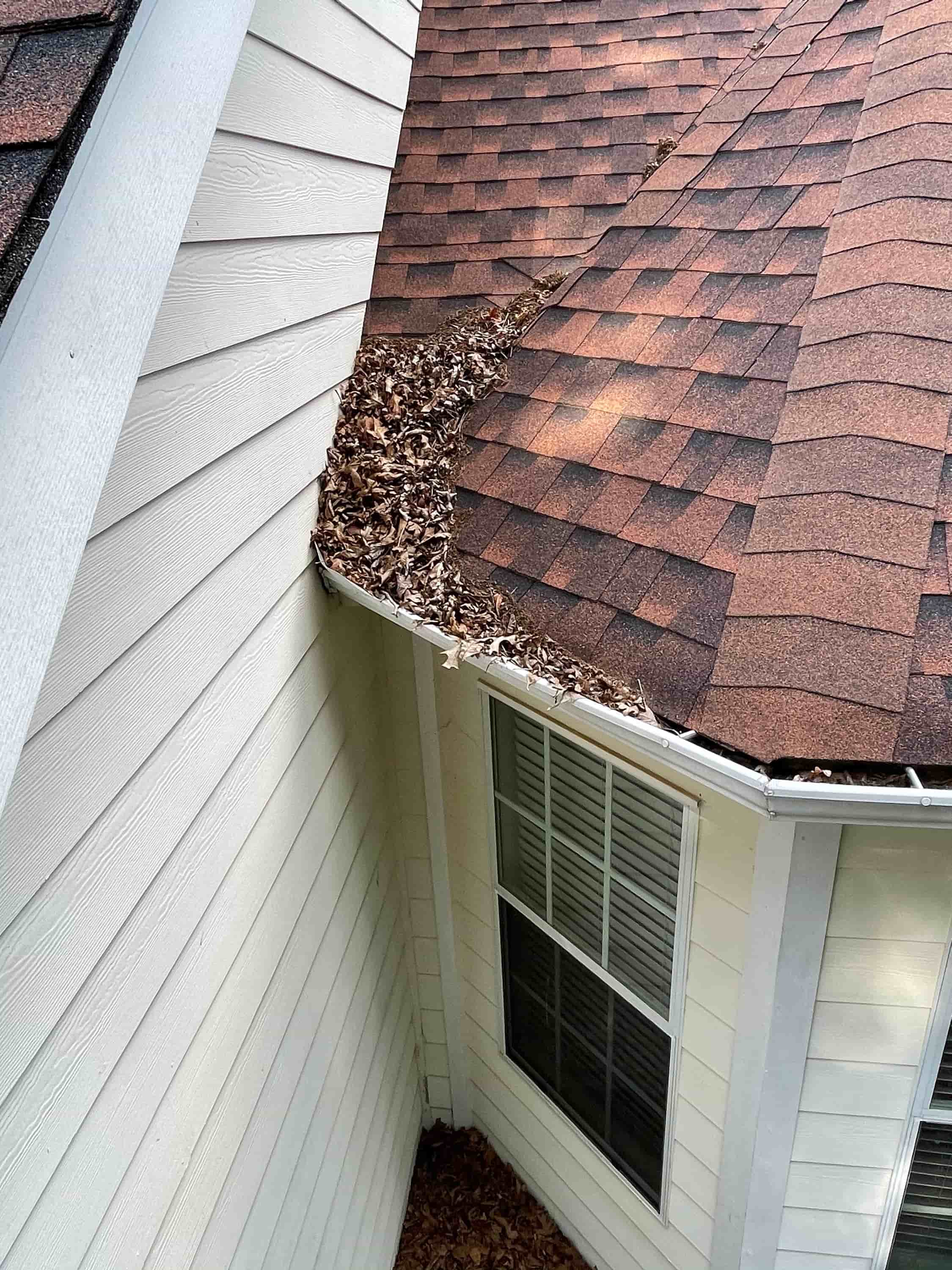 american gutter cleaning