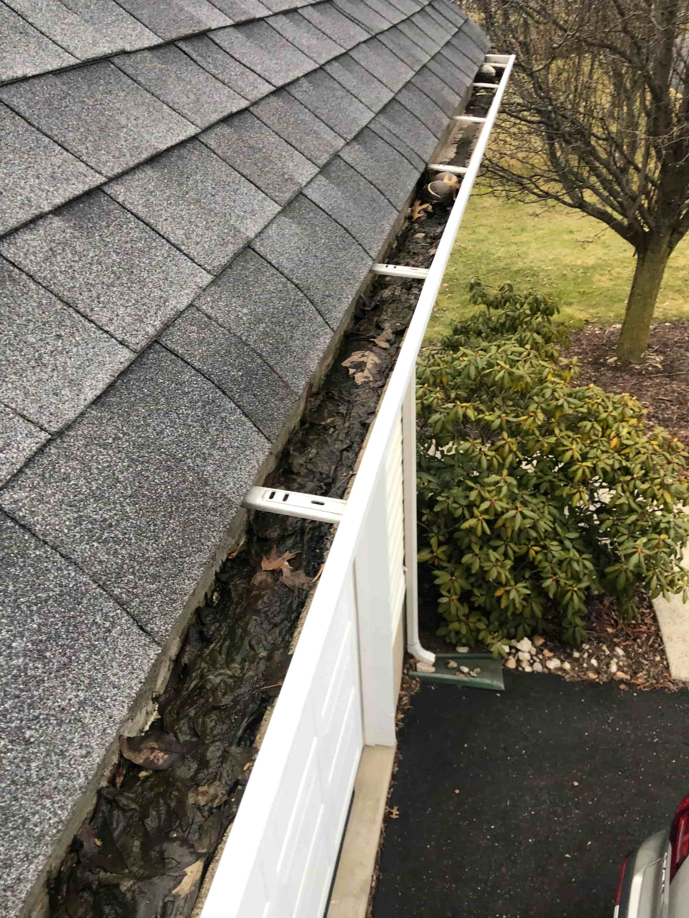 gutter cleaning near me now