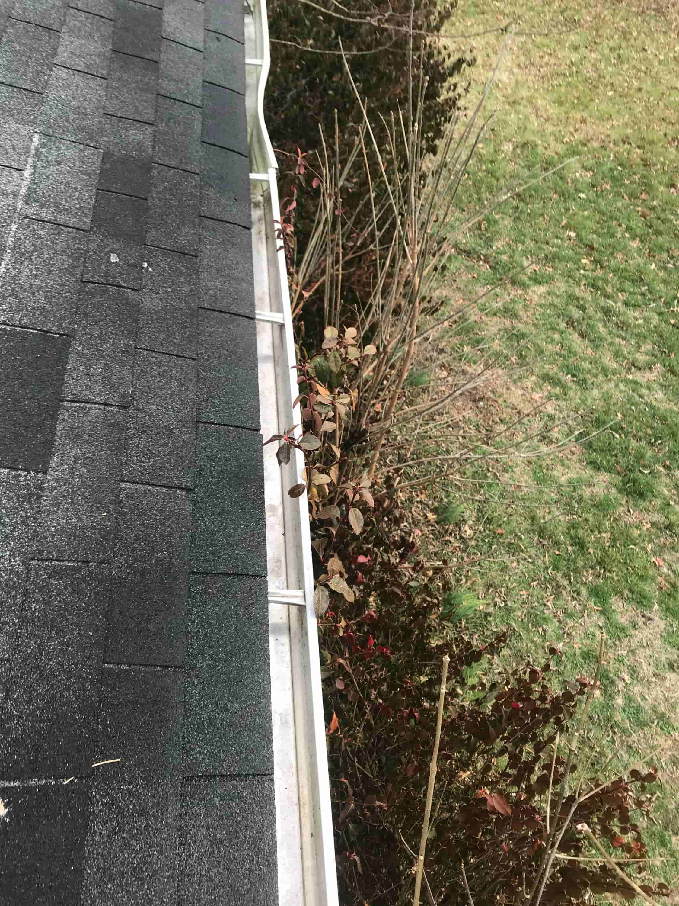 roof and gutter maintenance