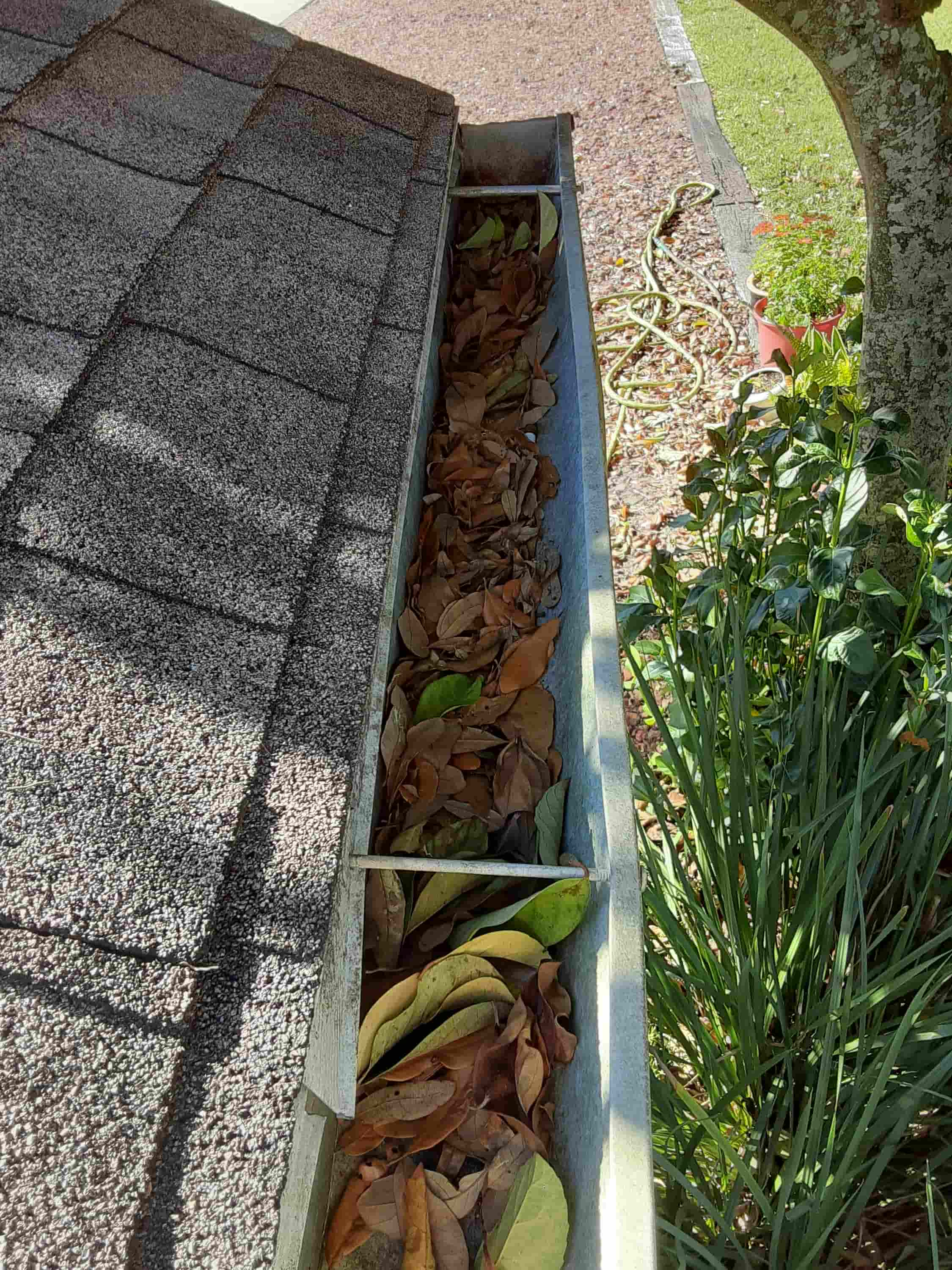 local gutter cleaning