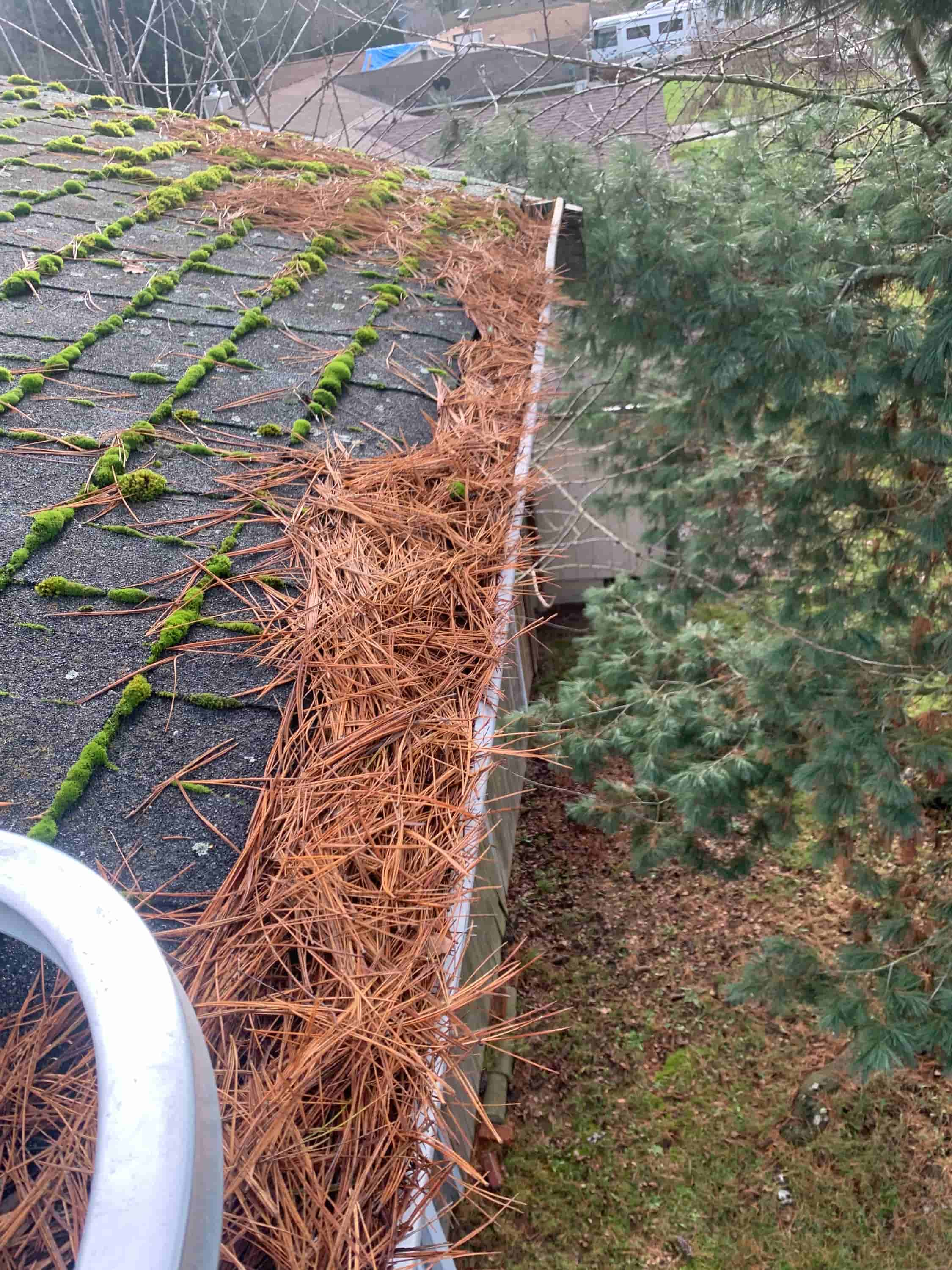 clean gutter with leaf blower