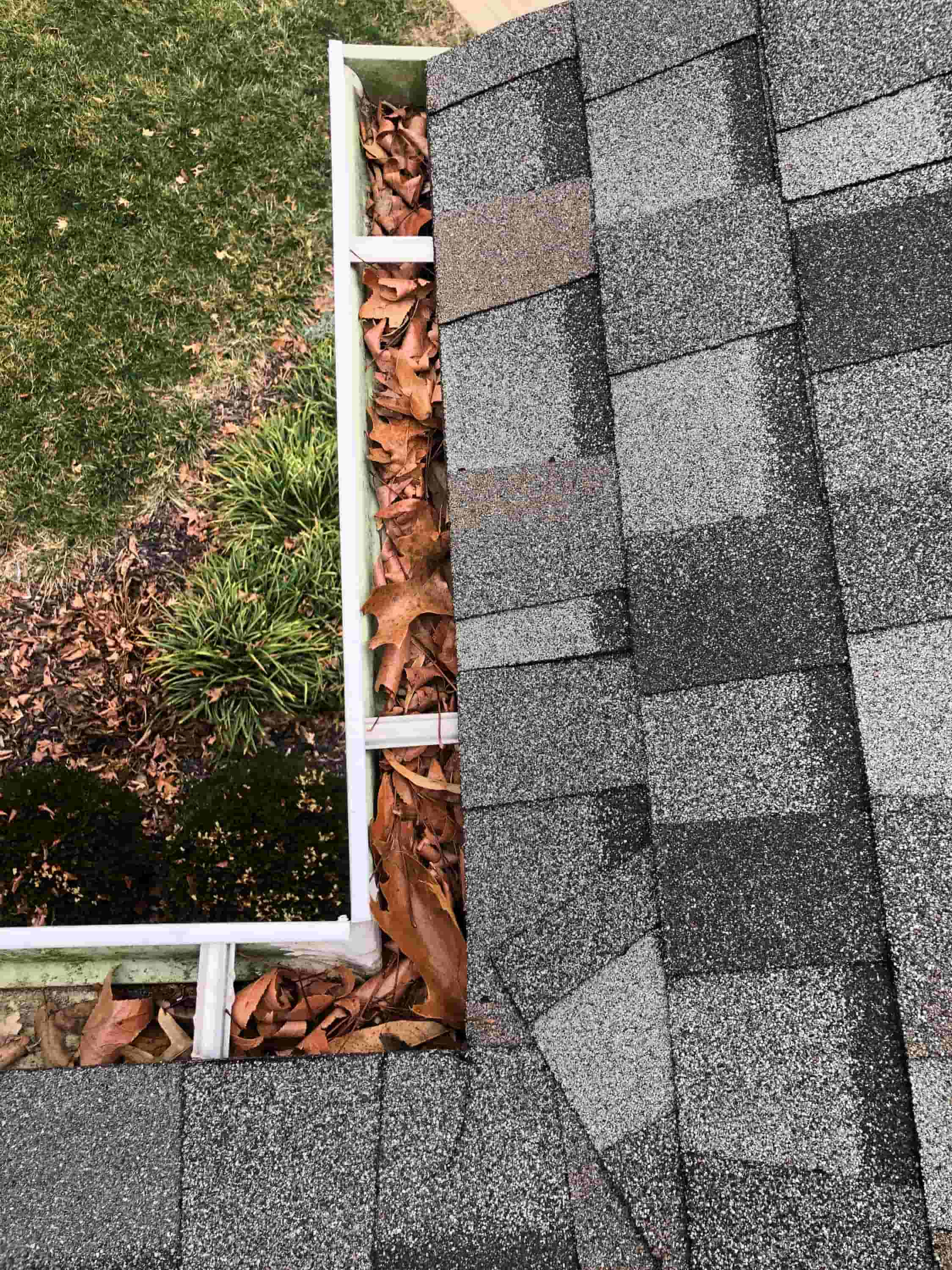 how to clean gutters with ladder