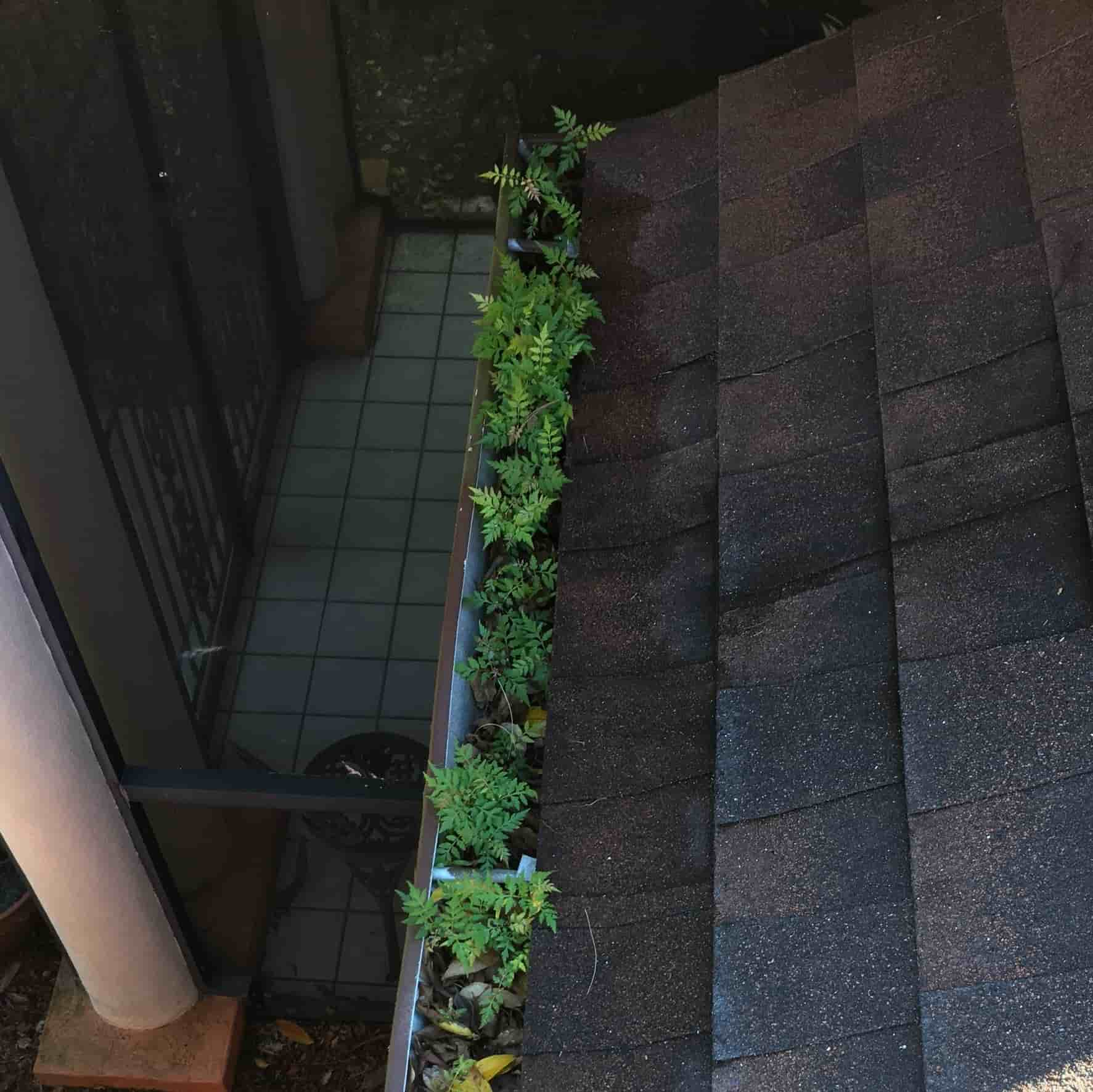 gutter cleaning and repair