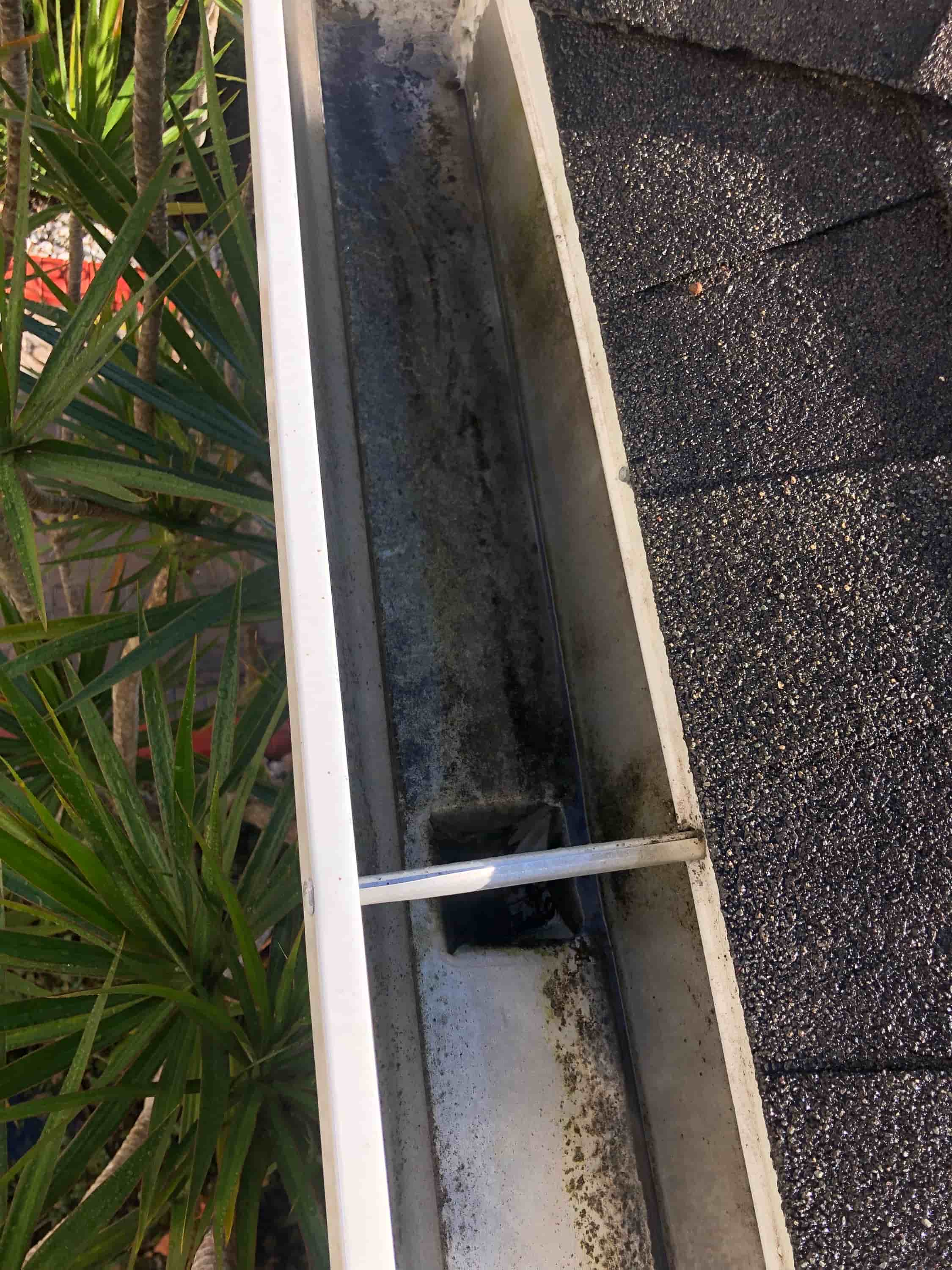 clean gutters with gutter guards