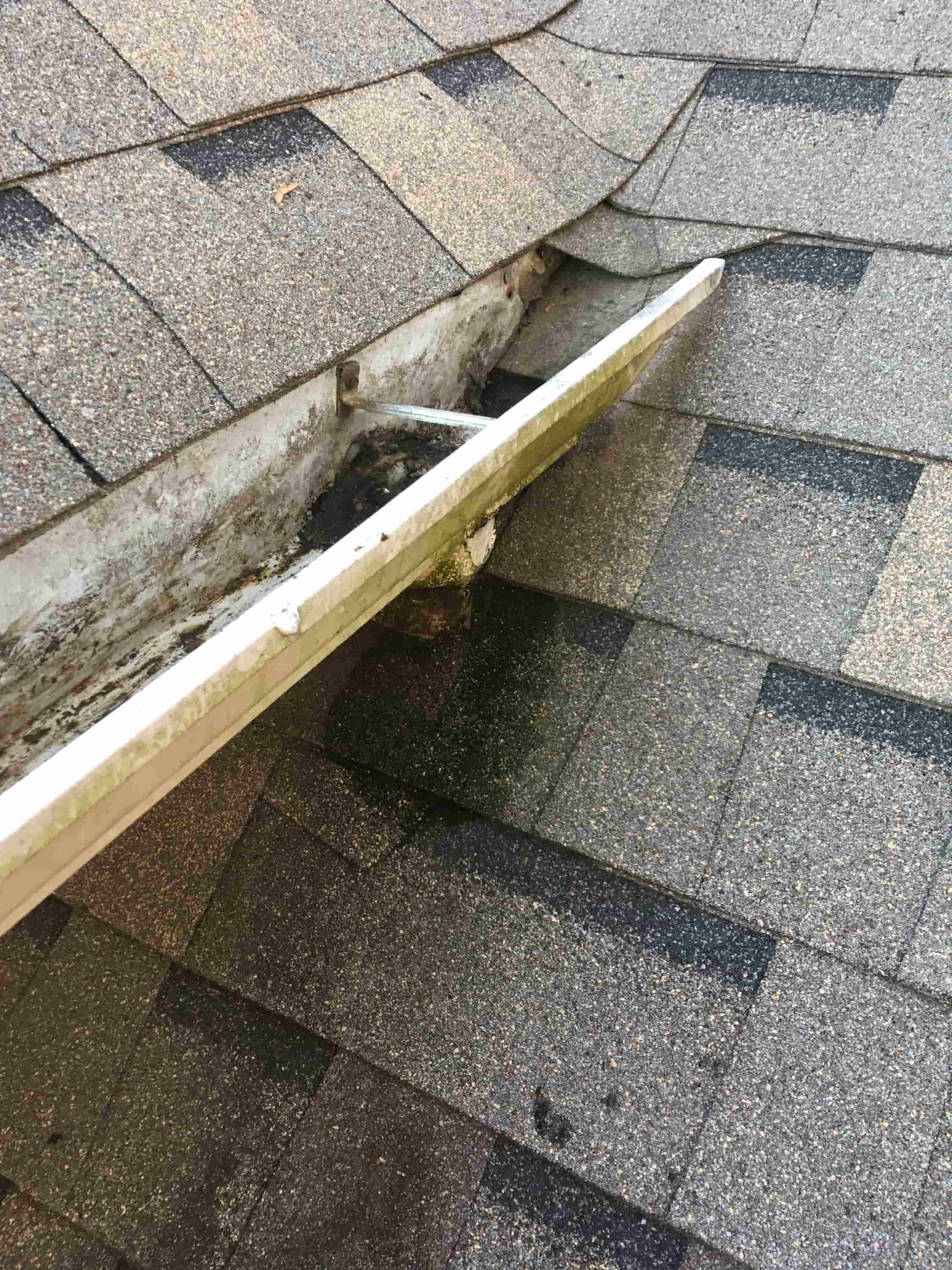 cleaning leaf guard gutters