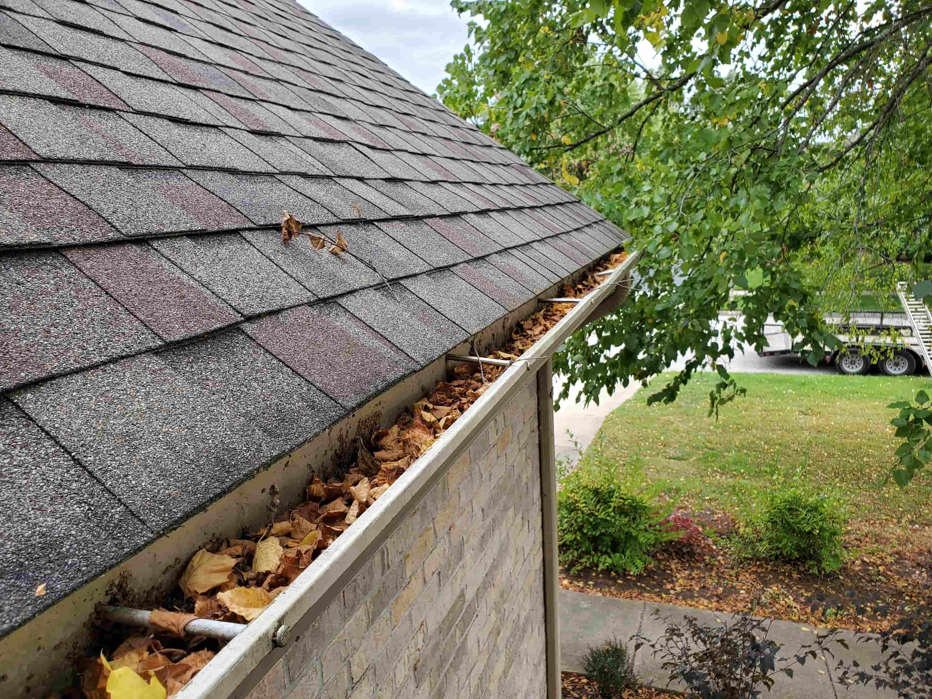 blow leaves off roof