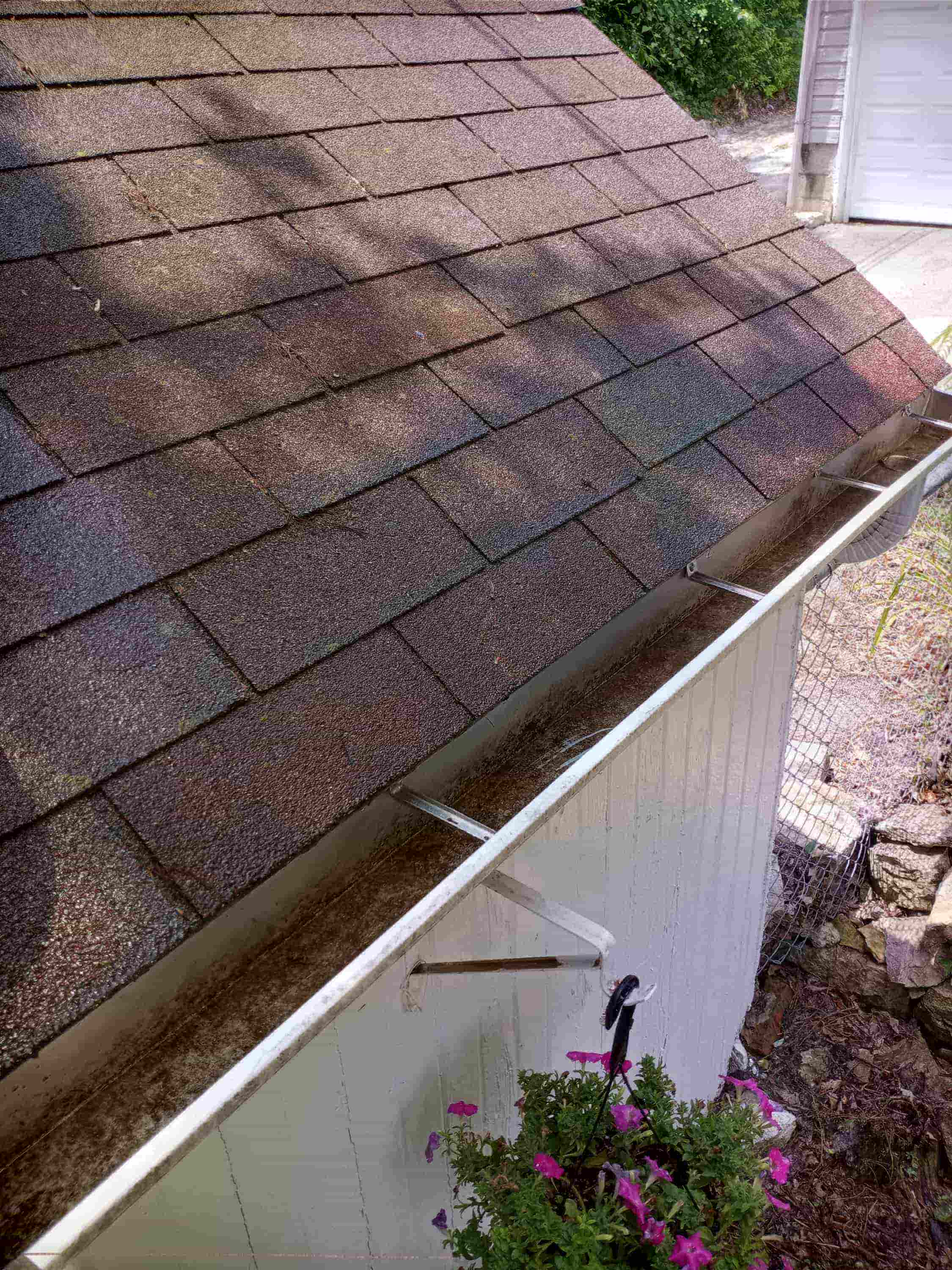 gutter cleaning in