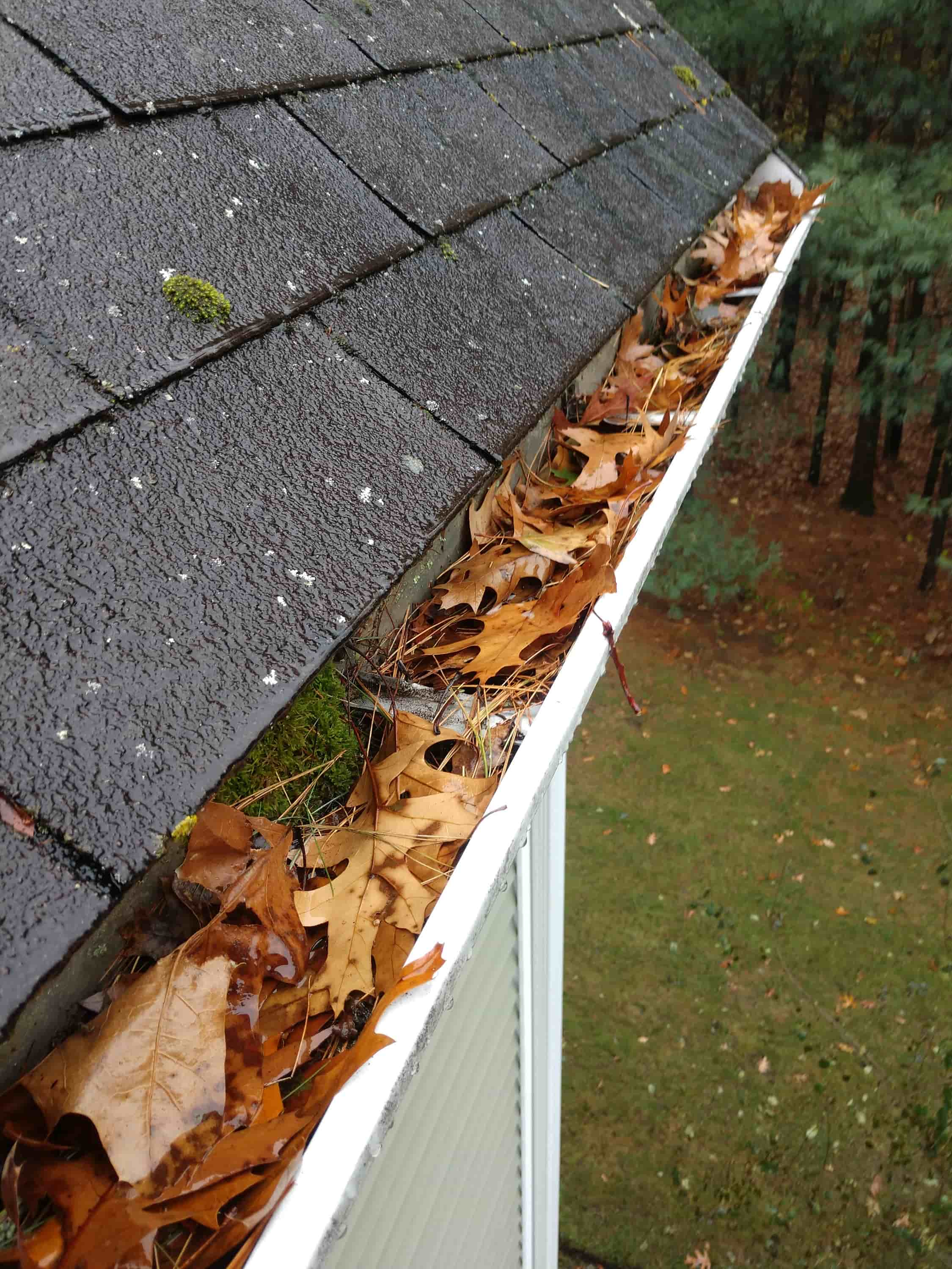 gutter cleaning boca raton